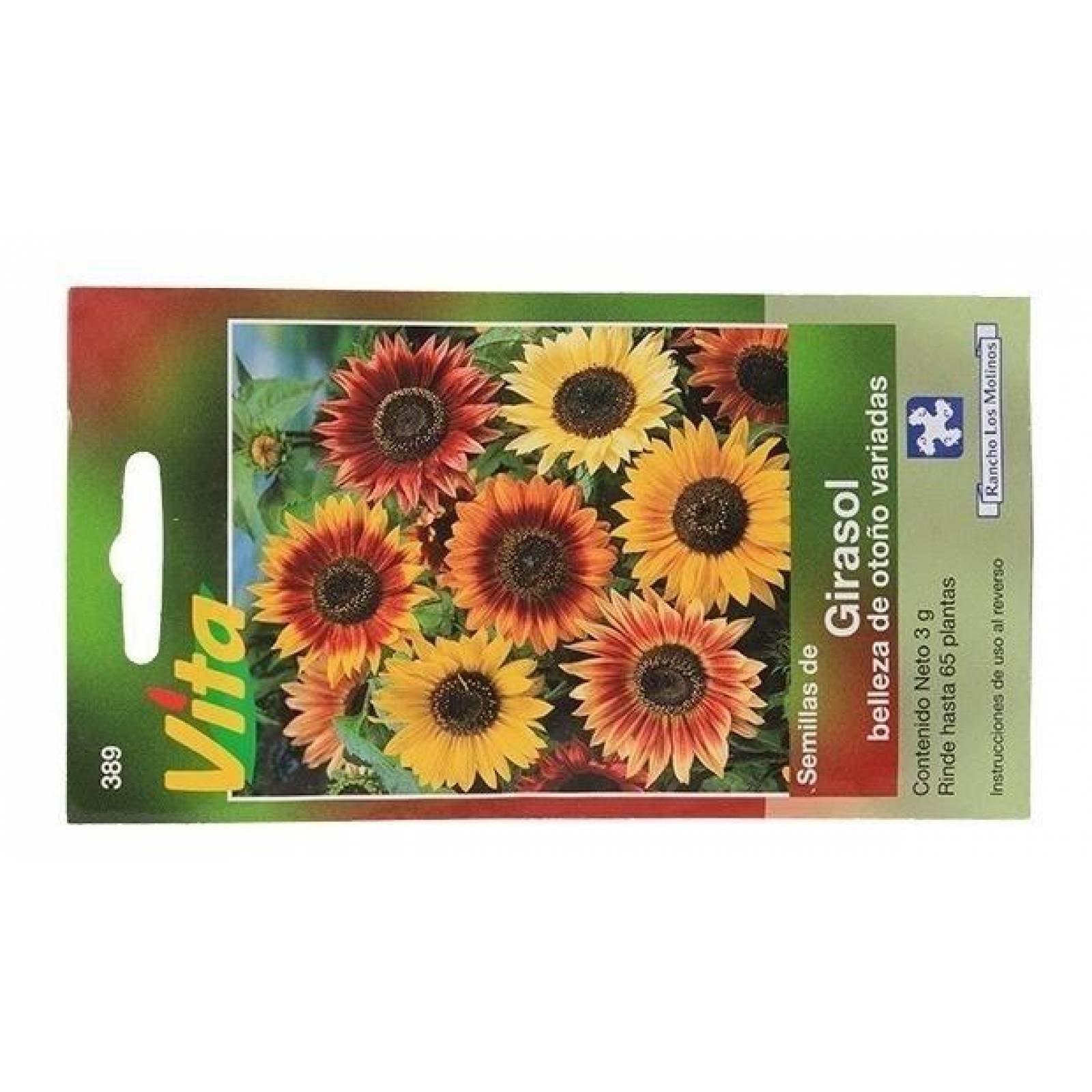 Semillas Para Sembrar Girasol Belleza De Otono 