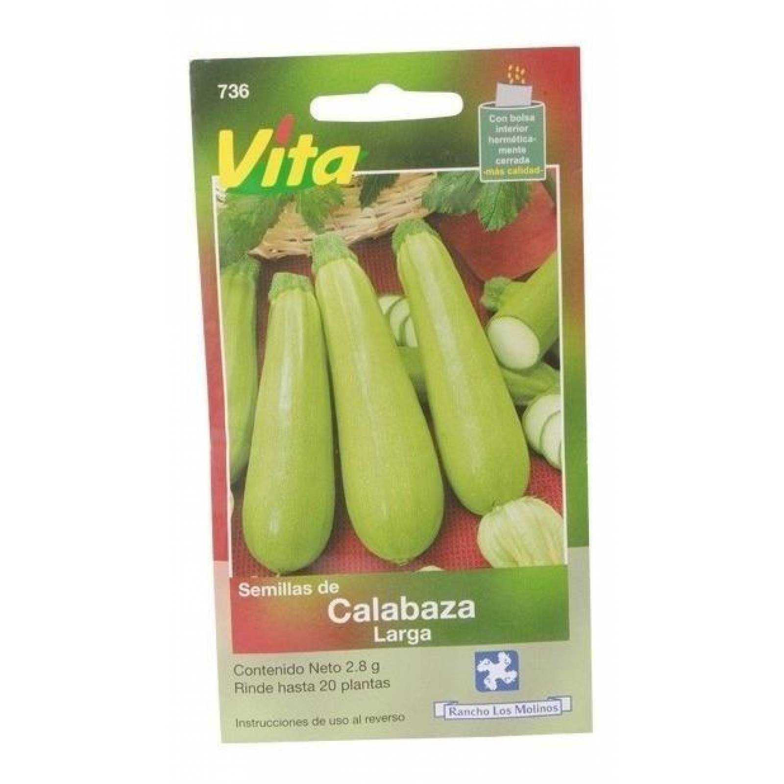Semillas Para Sembrar Calabacín Genovese 