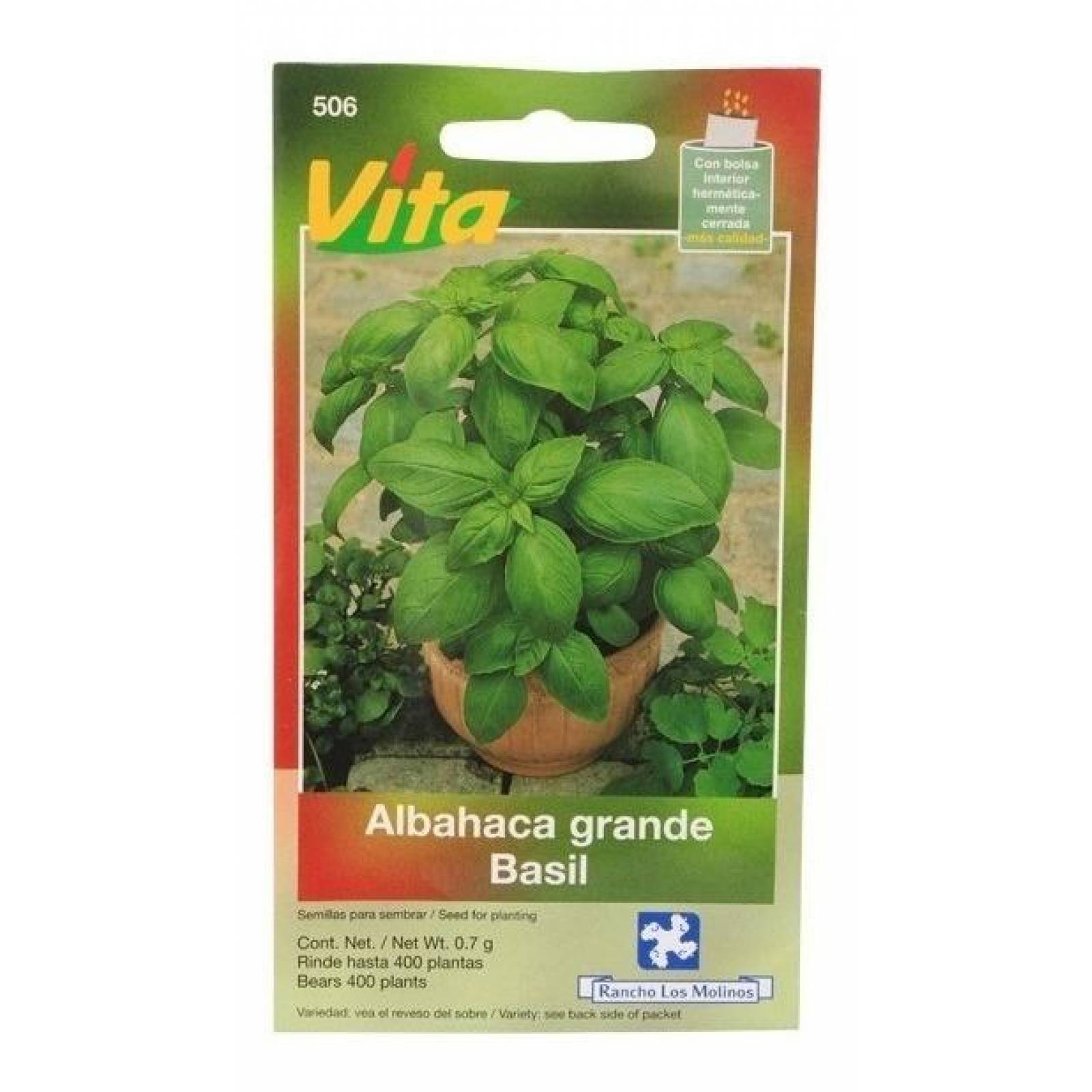 Semillas Para Sembrar Albahaca Grande Verde 