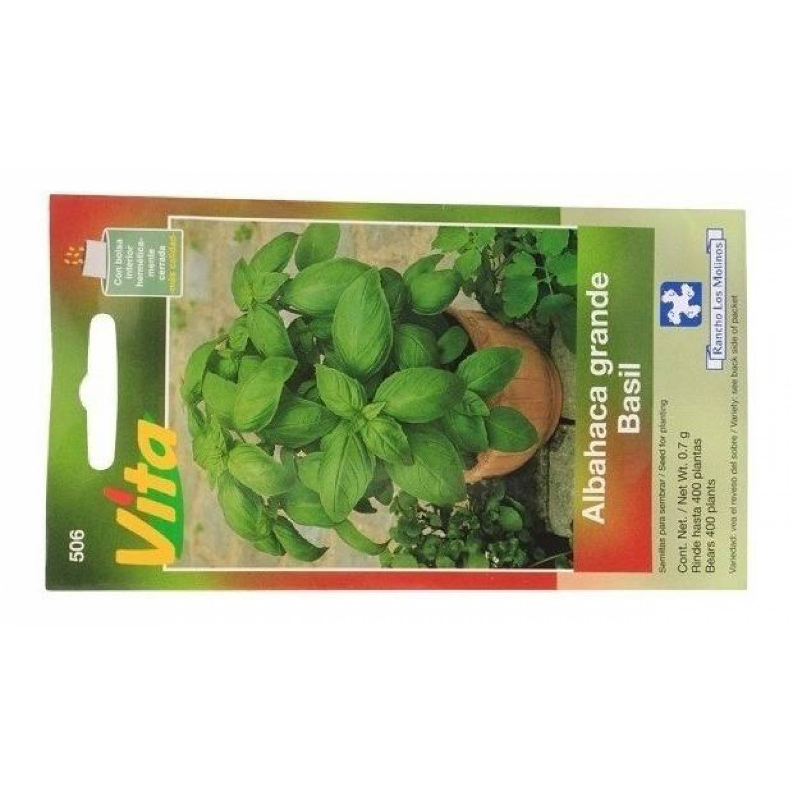 Semillas Para Sembrar Albahaca Grande Verde 