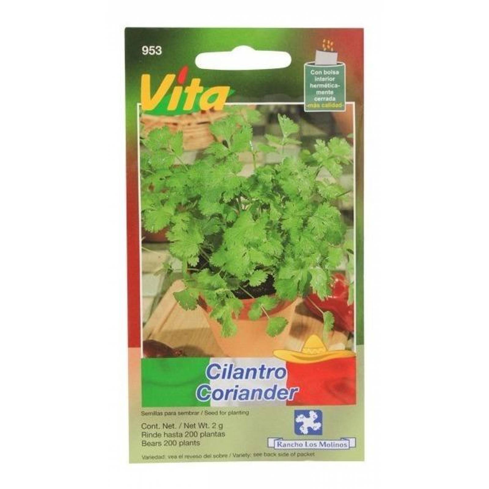 Semillas Para Sembrar Cilantro 