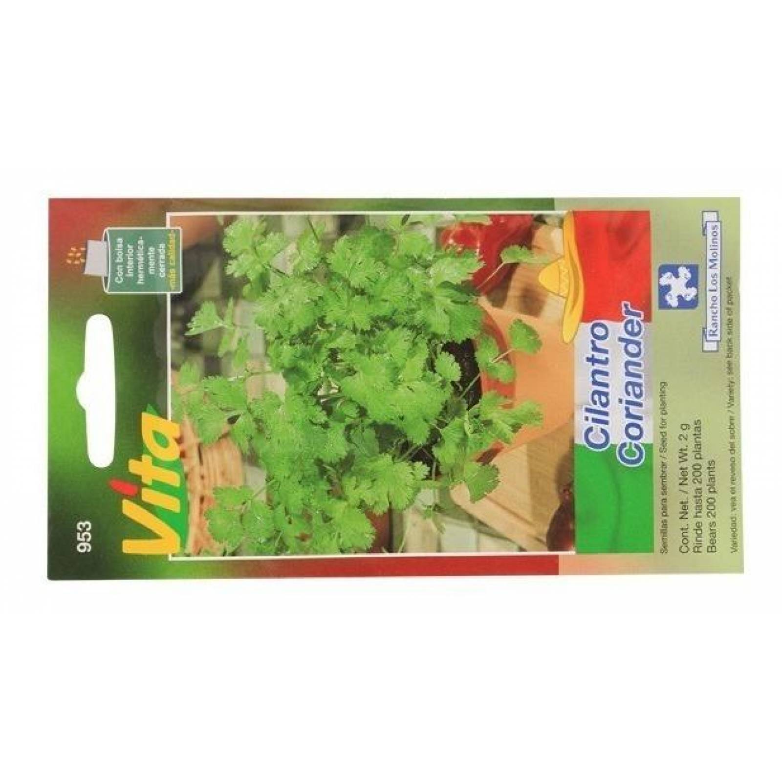 Semillas Para Sembrar Cilantro 