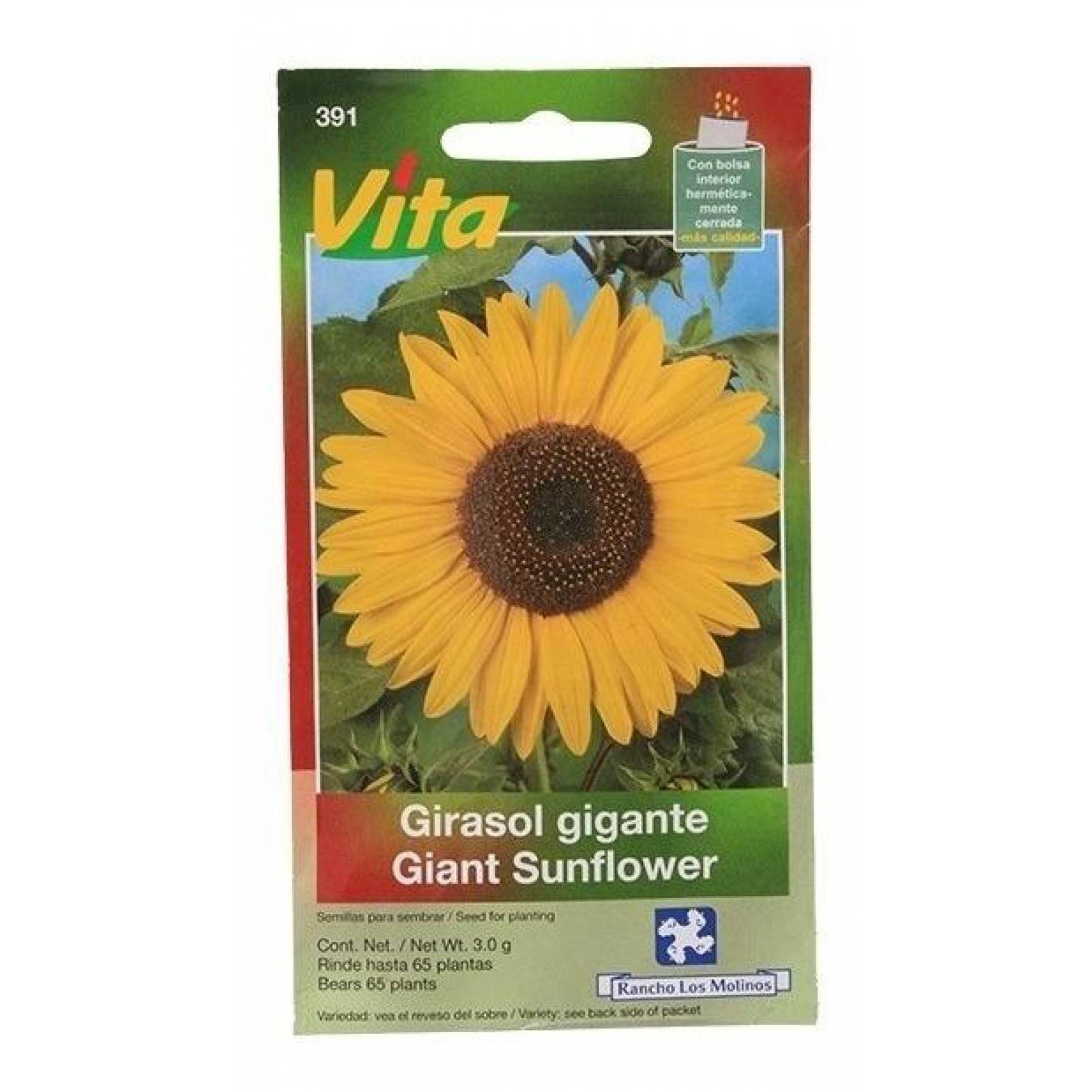 Semillas Para Sembrar Girasol De Flor Gigante 