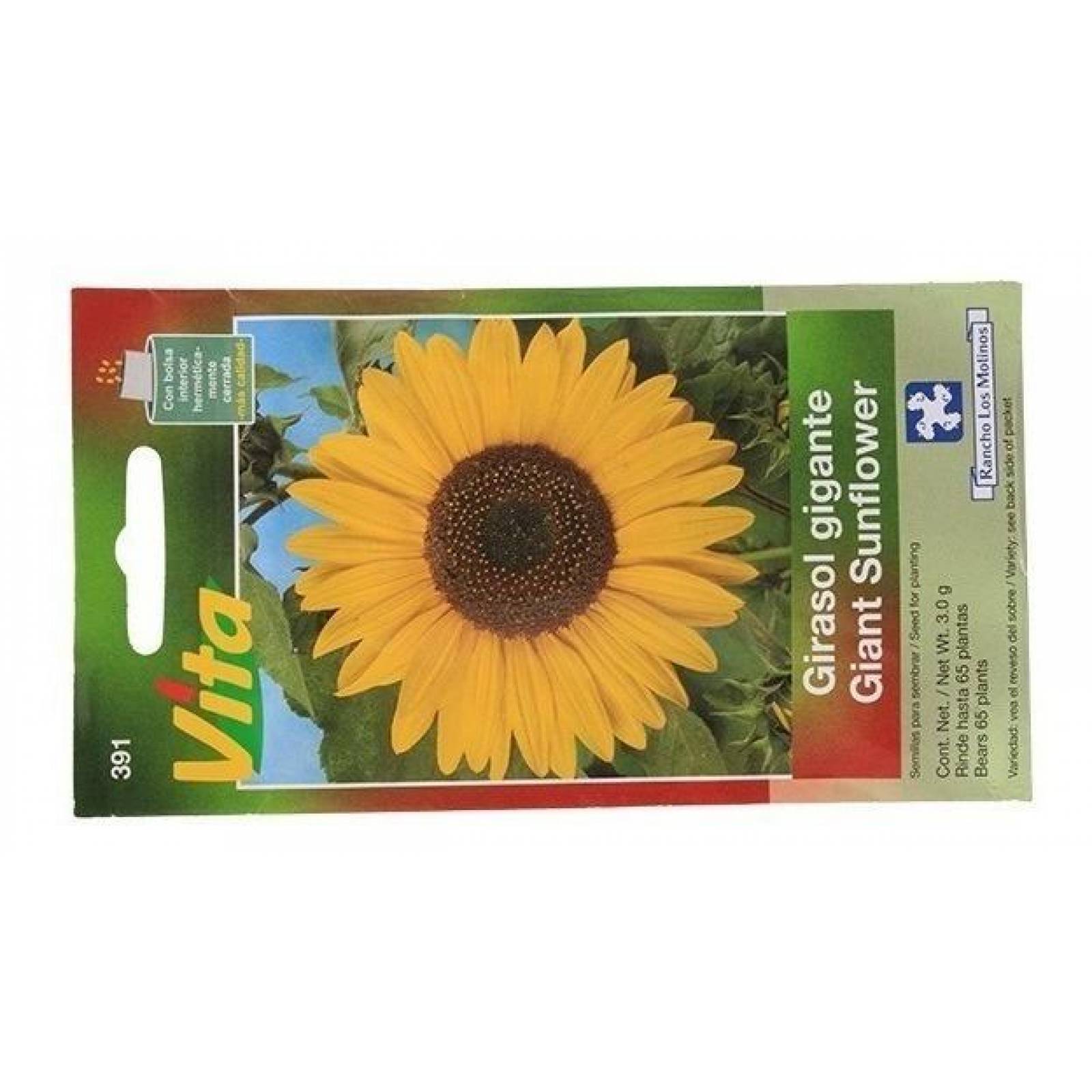 Semillas Para Sembrar Girasol De Flor Gigante 