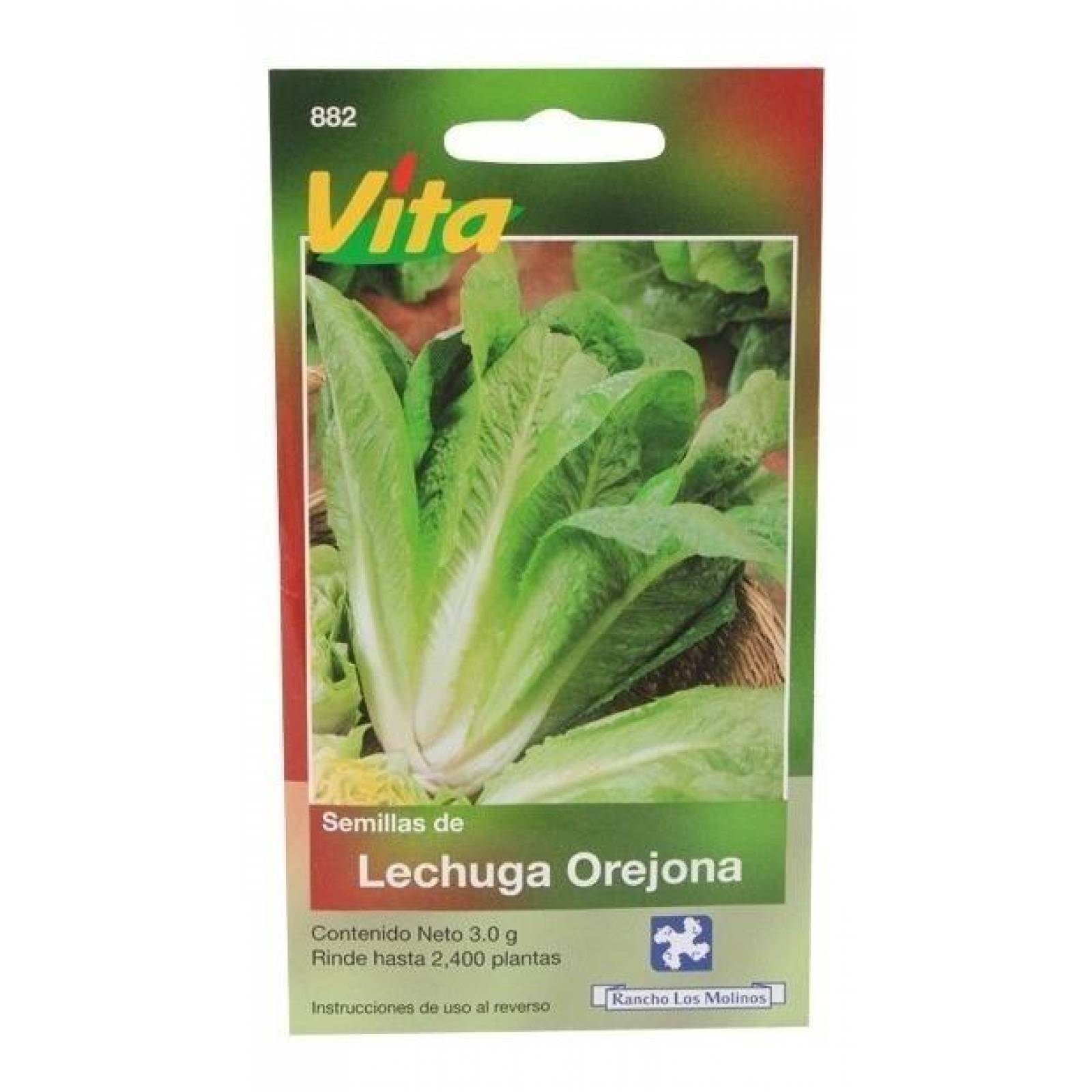 Semillas Para Sembrar Lechuga Orejona 