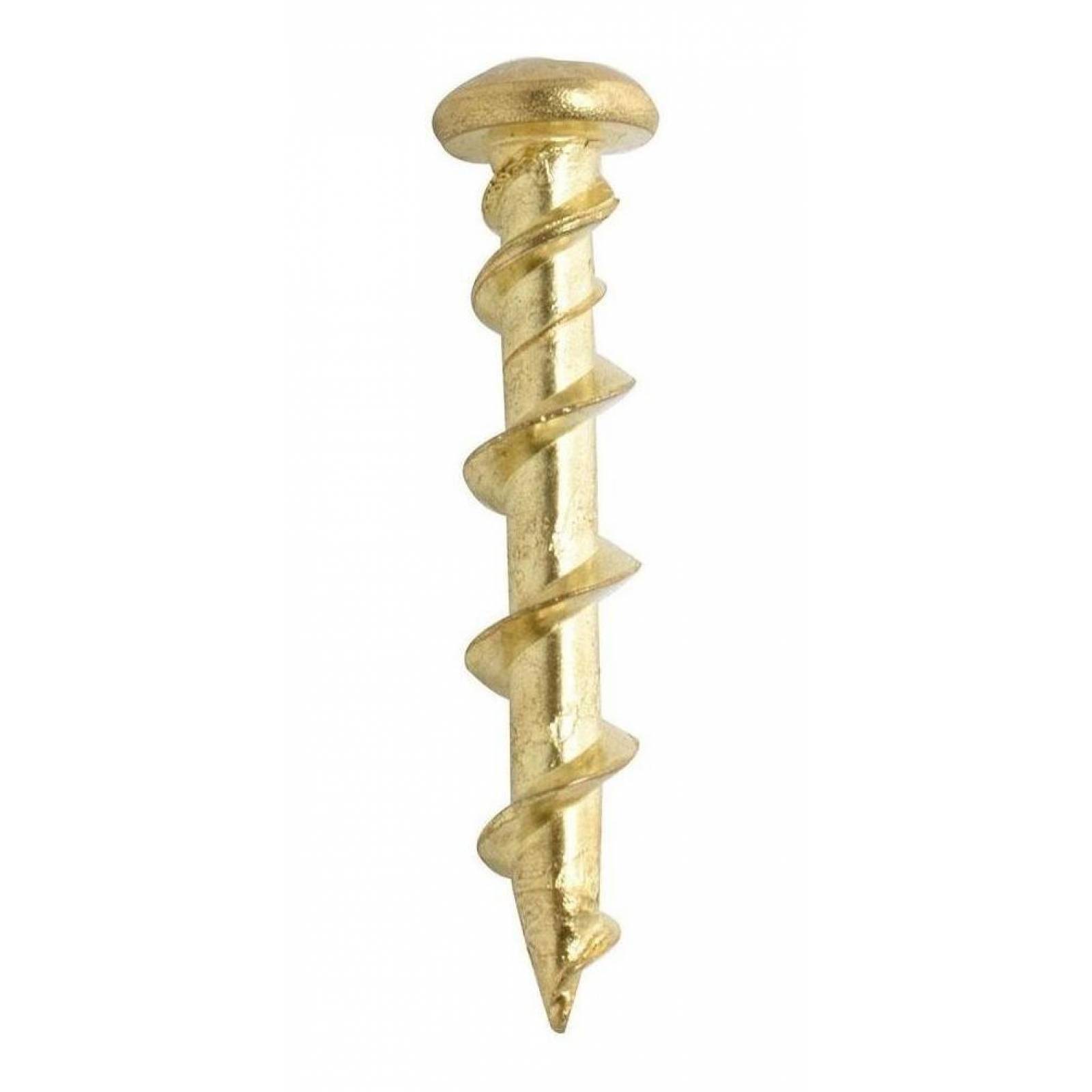 Tornillo Taquete De 1 1/4 De Pulgada Dorado 40 Piezas 