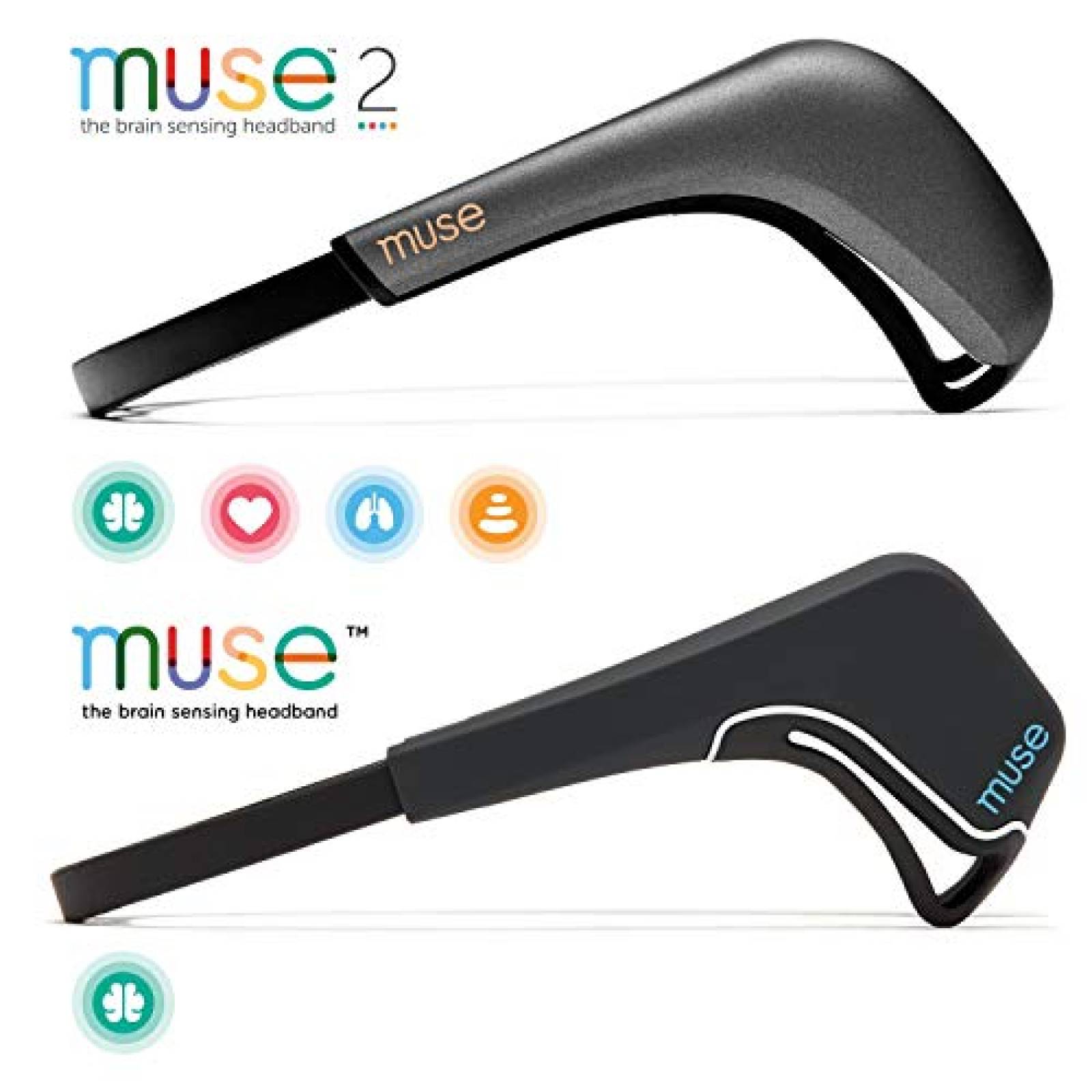 Funda MUSE 2 - Funda de Almacenamiento Oficial y Transpo inal Muse)