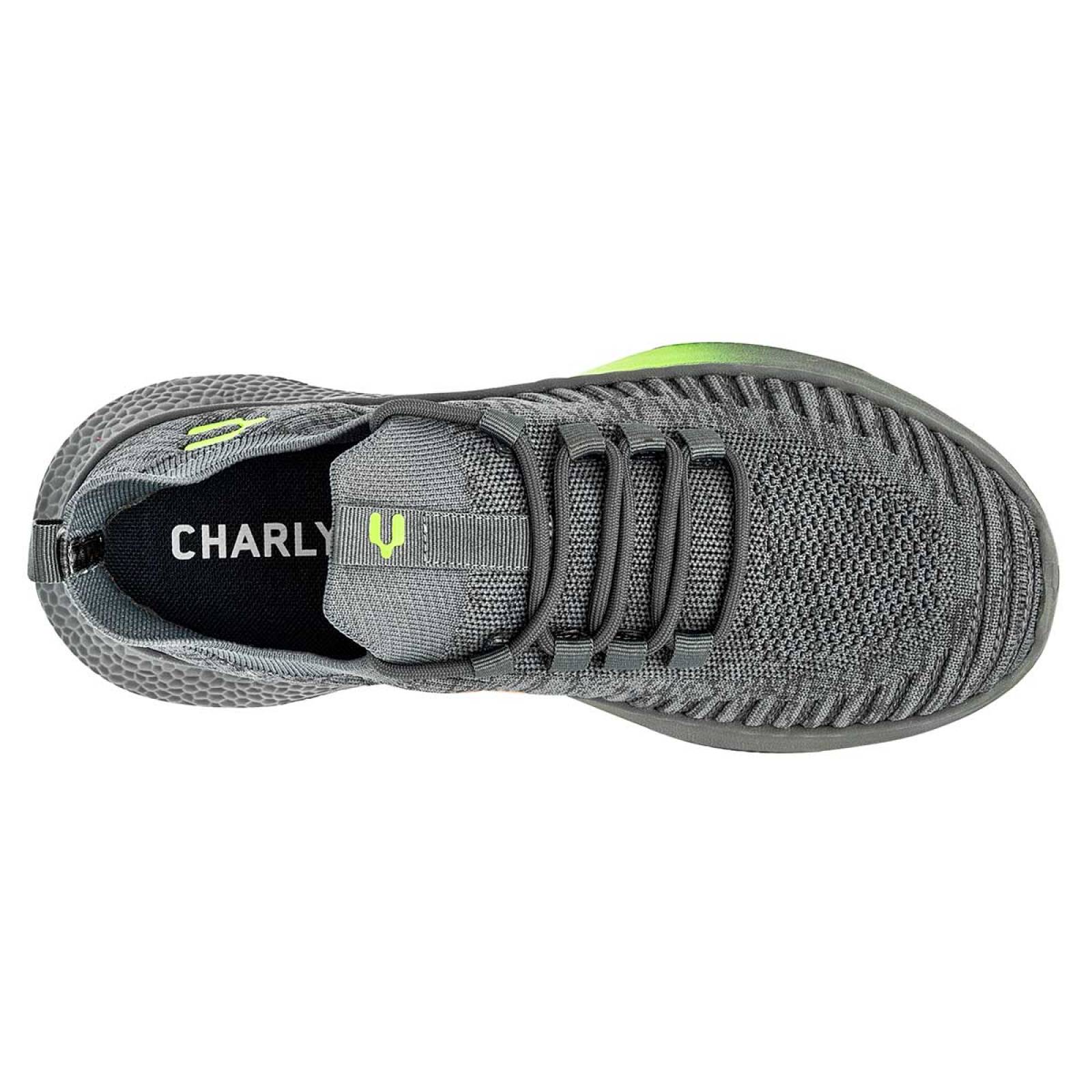 Tenis Mod 108640000 Para Hombre Charly Color Gris