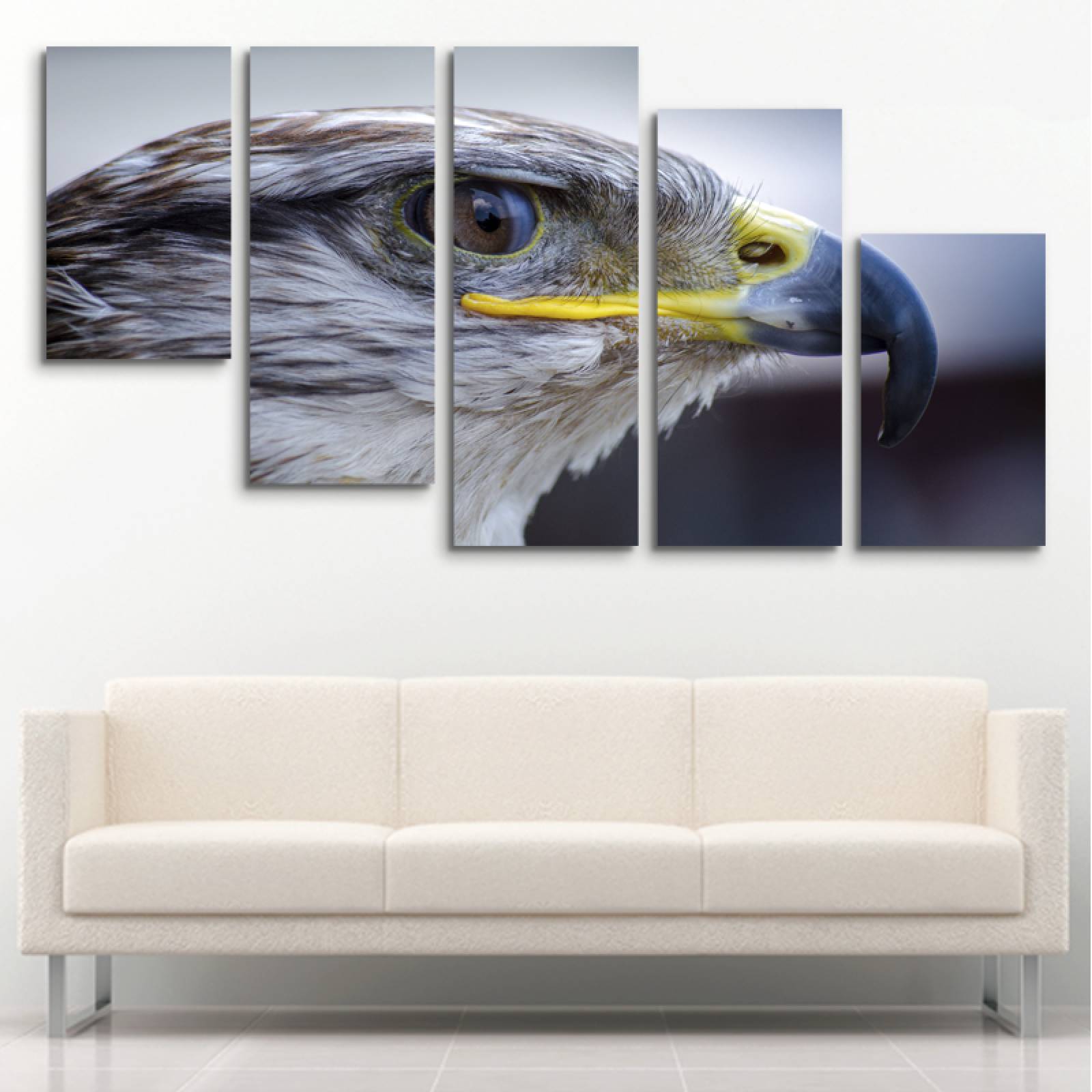 Cuadros Decorativos Modernos Para Salas 5 Piezas Aguila