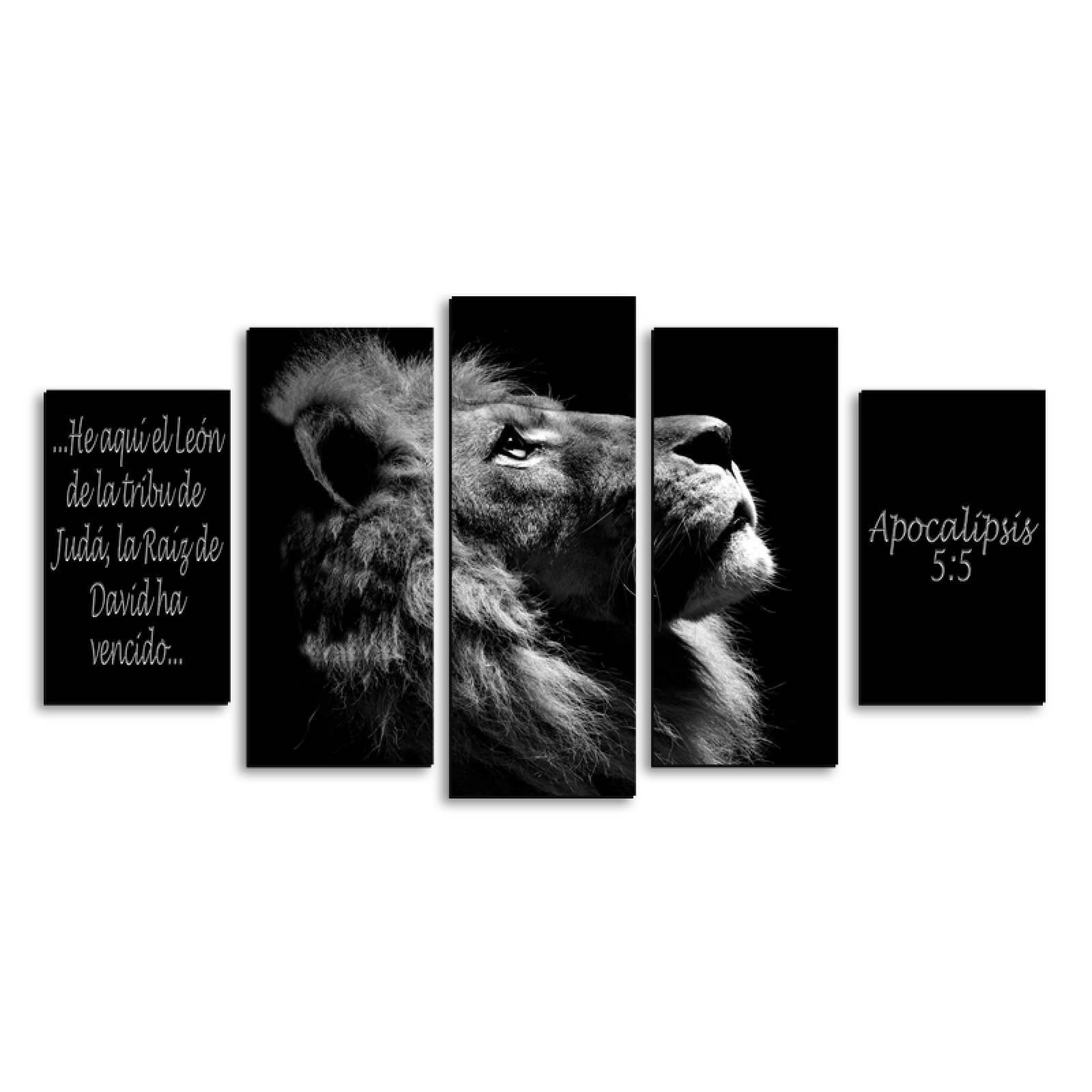 Cuadro decorativo León de Juda Decoración religiosa moderno 150x80cm 5 piezas