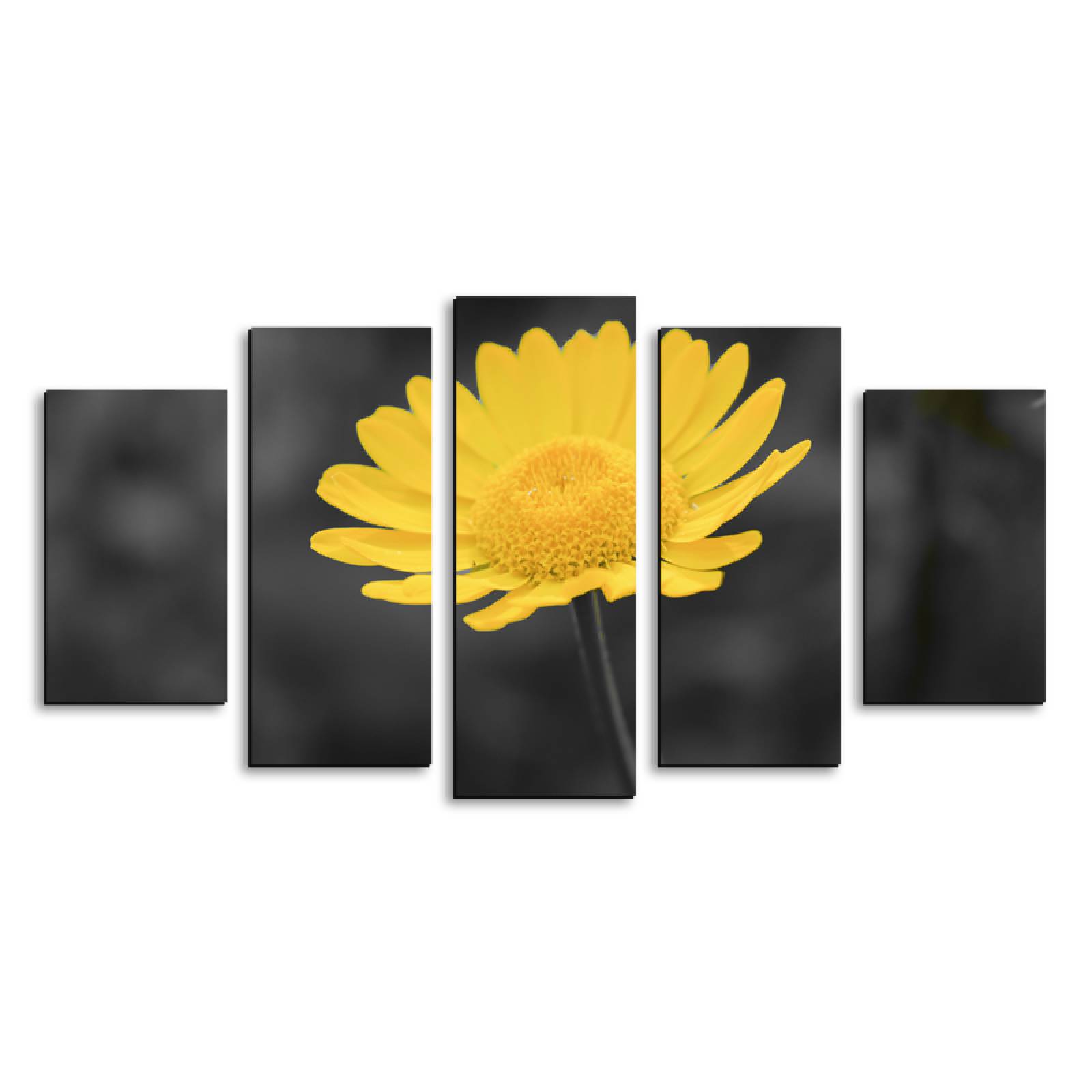 Cuadro decorativo Flor de Crisantemo Amarillo Minimalista moderno decoración 150x80cm 5 piezas
