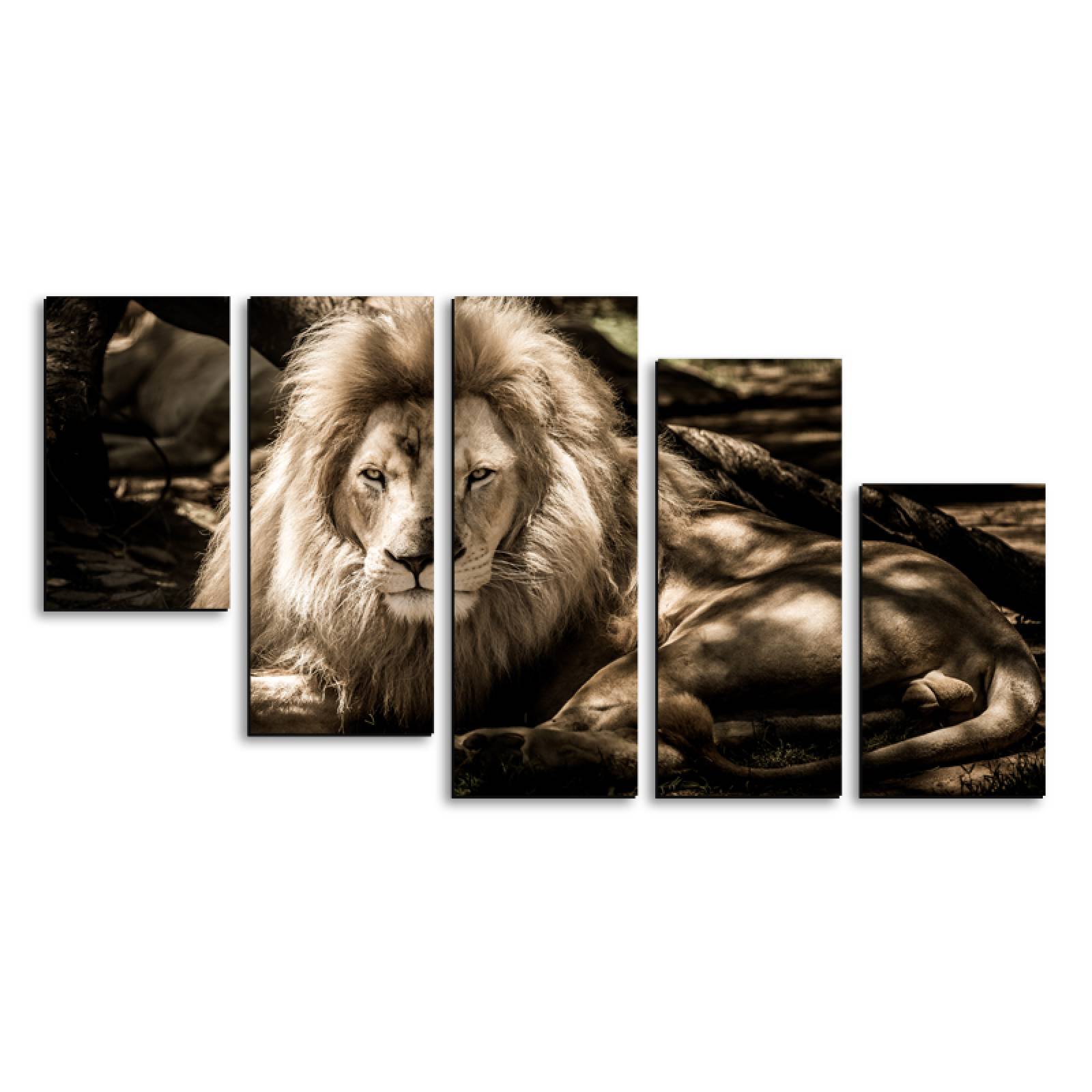 Cuadro decorativo León Rey de la Selva moderno decoración 150x80cm 5 piezas
