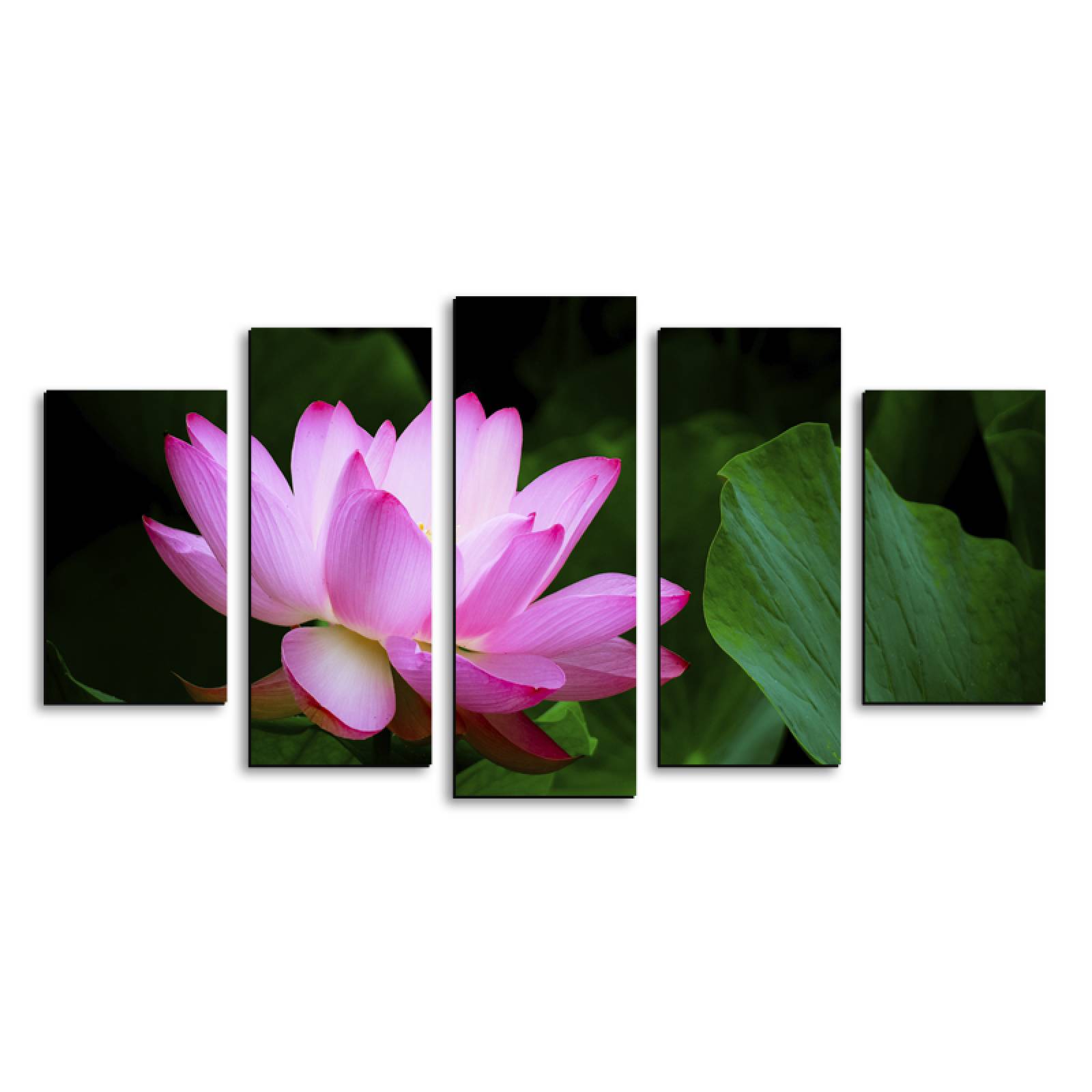 Cuadro decorativo Flor de Loto Rosa moderno decoración 150x80cm 5 piezas