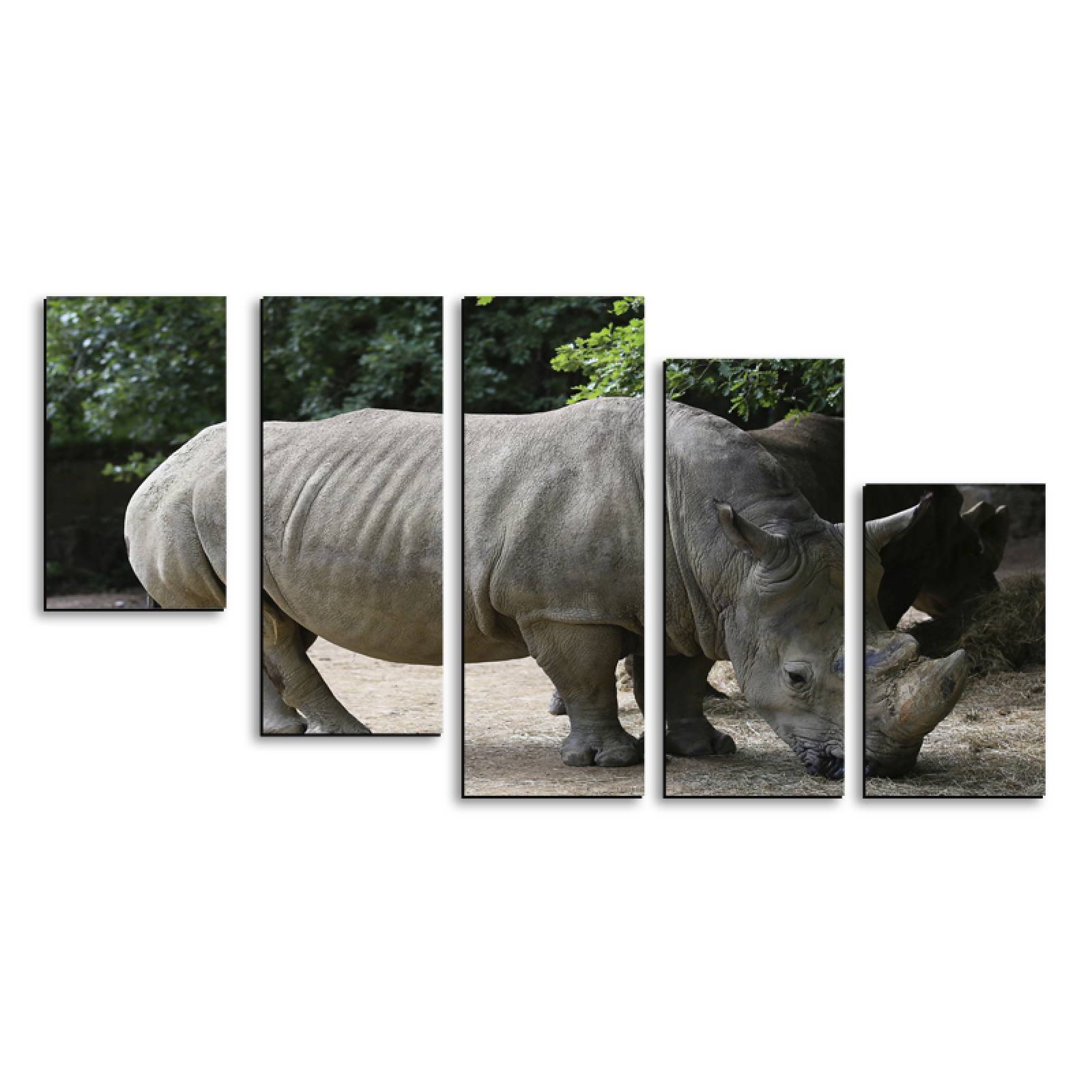 Cuadro decorativo Rinoceronte Animales moderno decoración 150x80cm 5 piezas