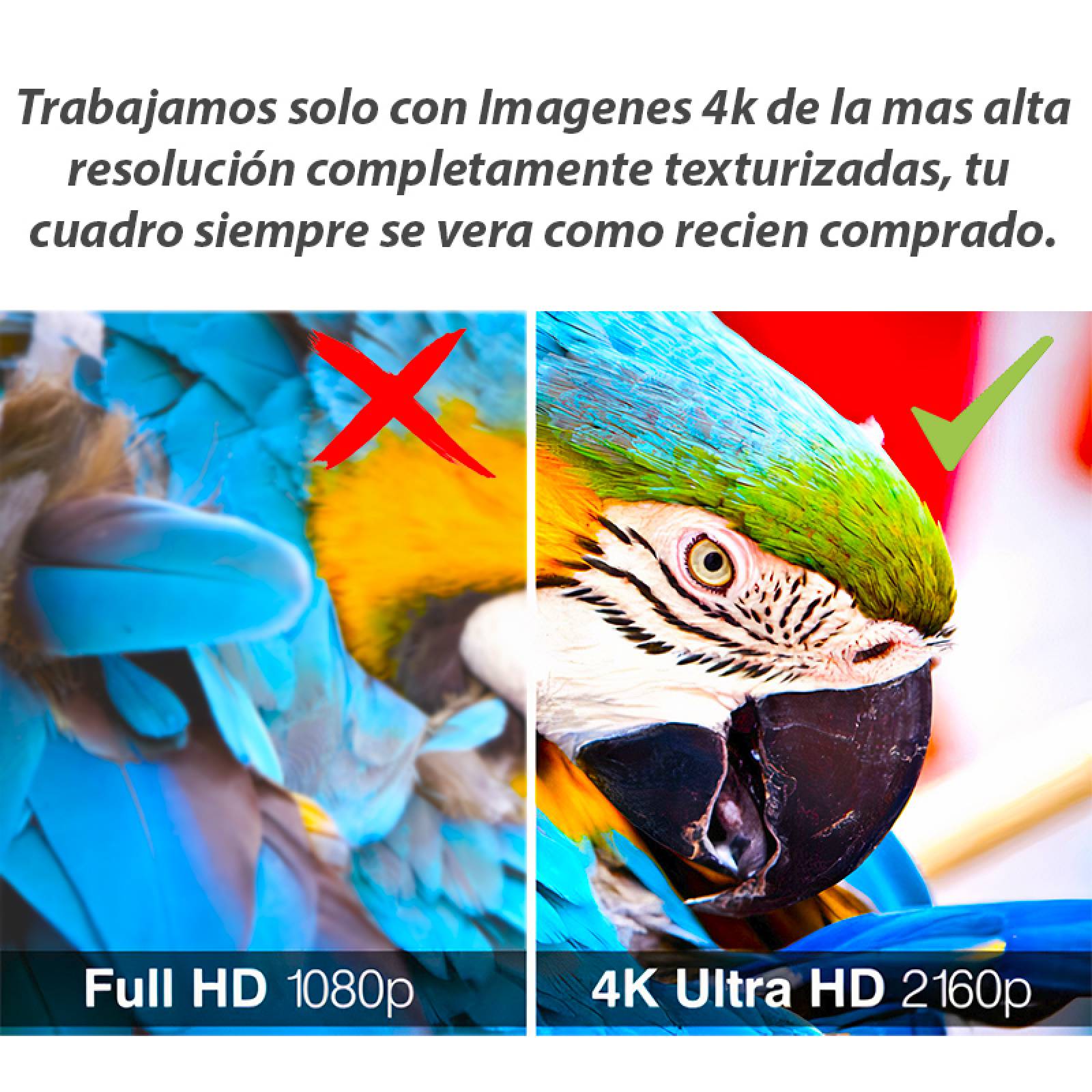 Cuadro decorativo Rinoceronte Animales moderno decoración 150x80cm 5 piezas