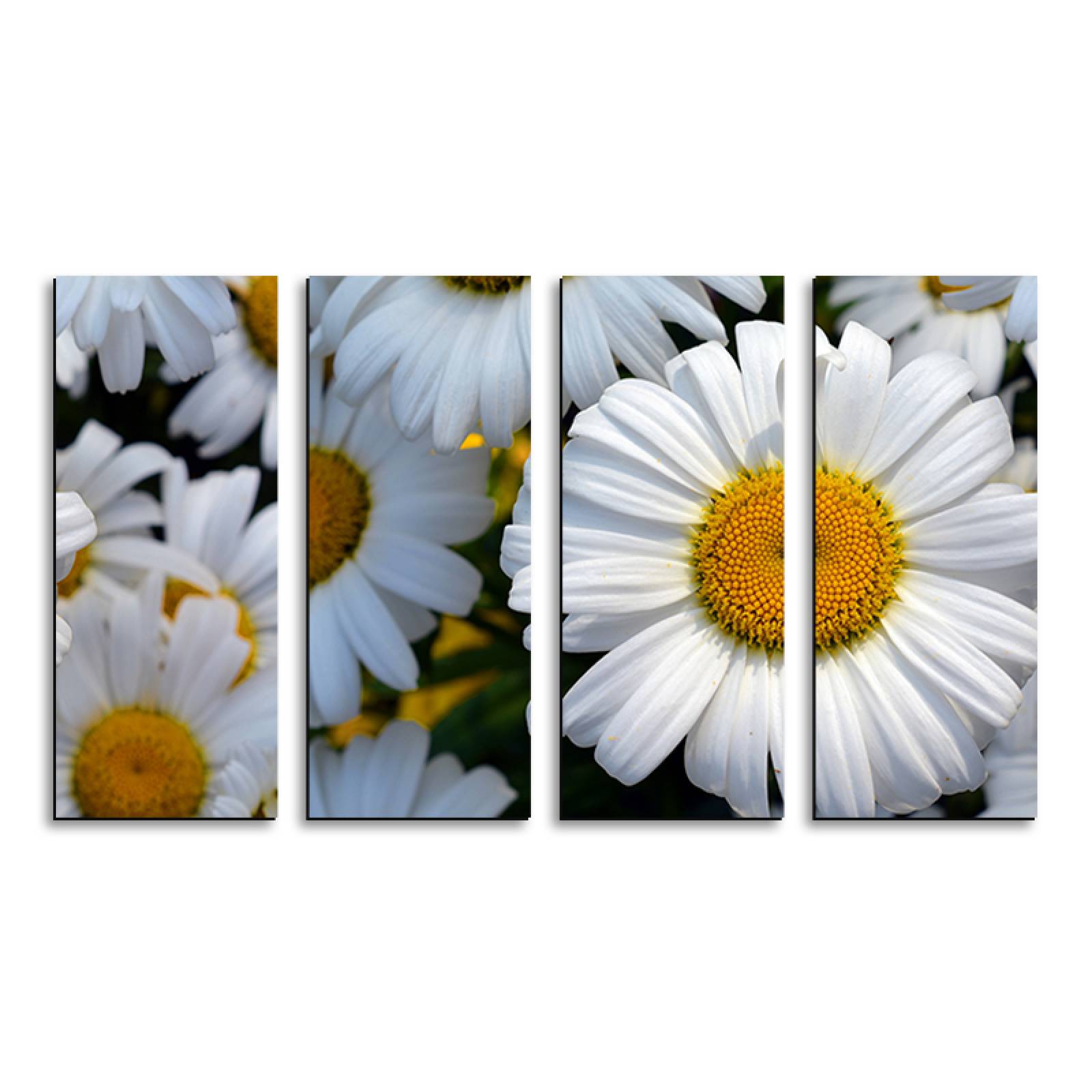 Cuadro decorativo Flores de Margaritas 2 metros x 120cm Grandes Modernos 4 Piezas
