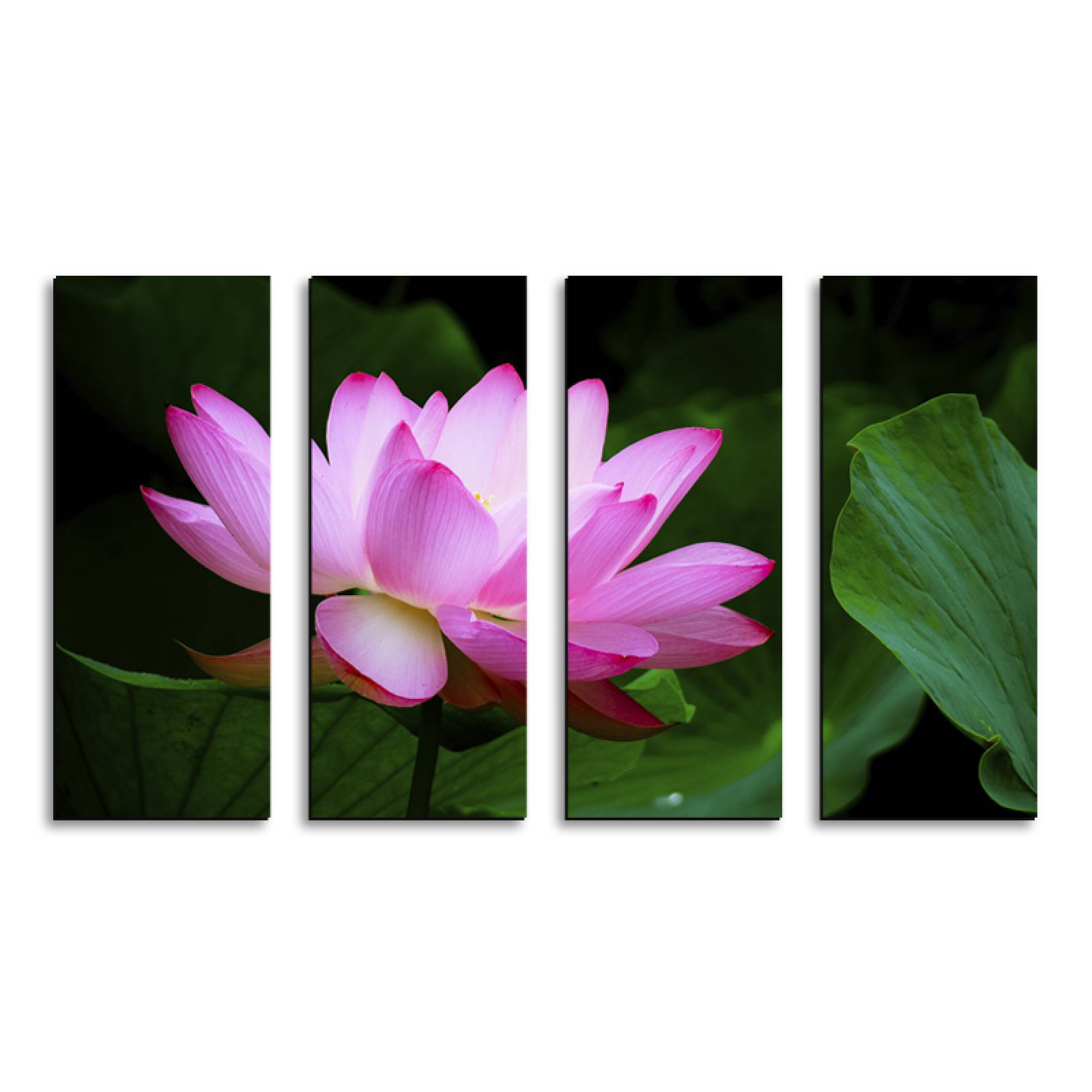 Cuadro decorativo Flor de Loto rosa Japones 2 metros x 120cm Grandes Modernos 4 Piezas