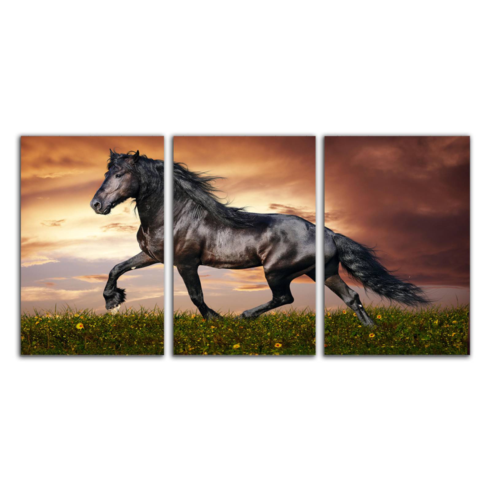 Cuadro decorativo Corcel Negro Caballo Animales moderno decoración 168x86cm 3 piezas