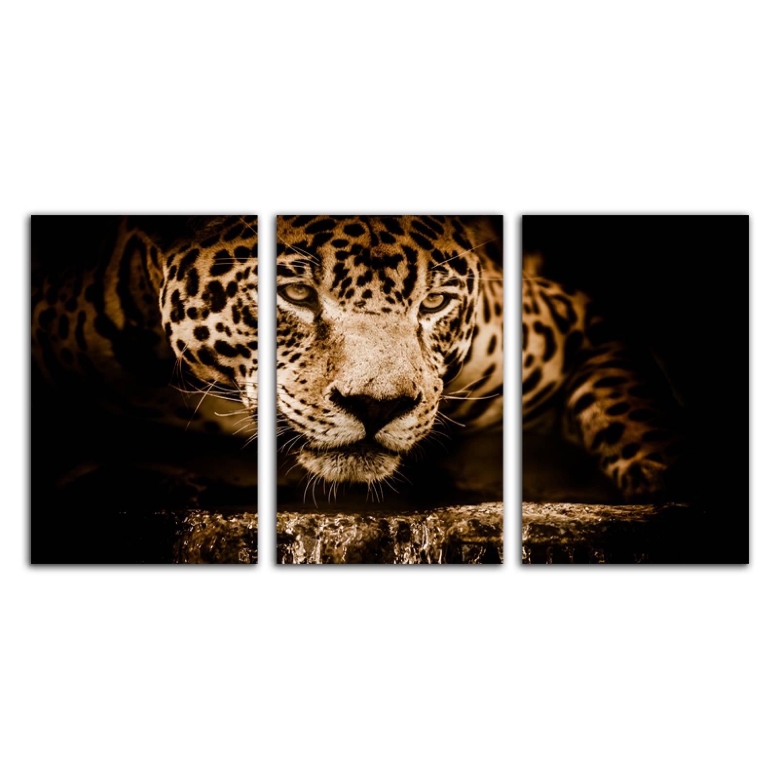Cuadro decorativo Jaguar Animales moderno decoración 168x86cm 3 piezas