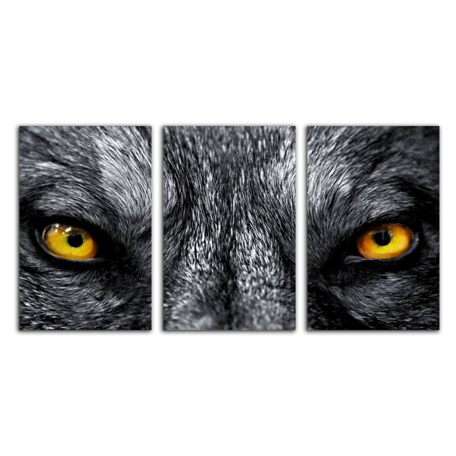 Cuadro decorativo Ojos de Lobo Gris Animales moderno decoración 168x86cm 3 piezas