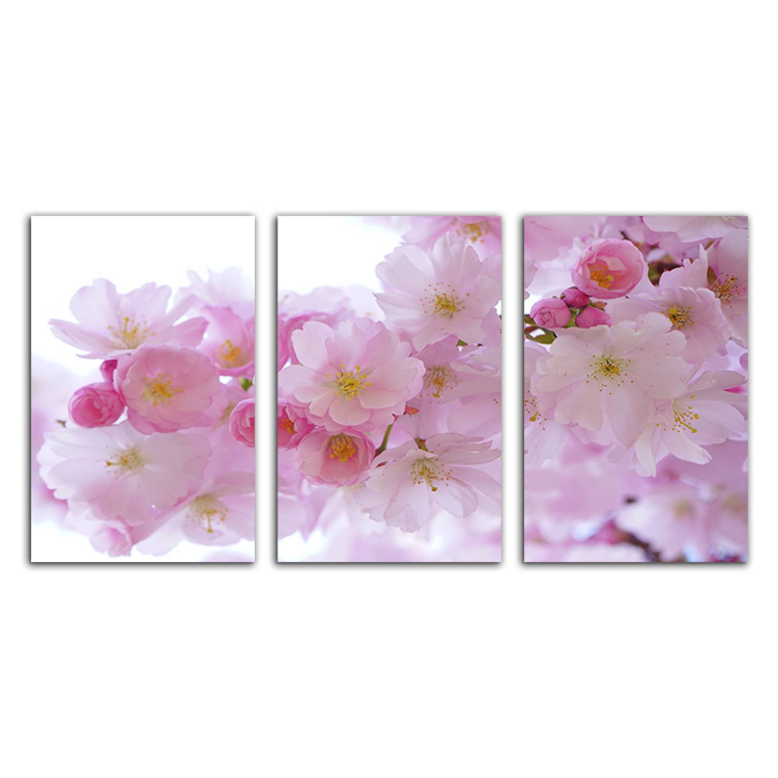 Cuadro decorativo Flores de Cerezo Japones moderno decoración 168x86cm 3 piezas