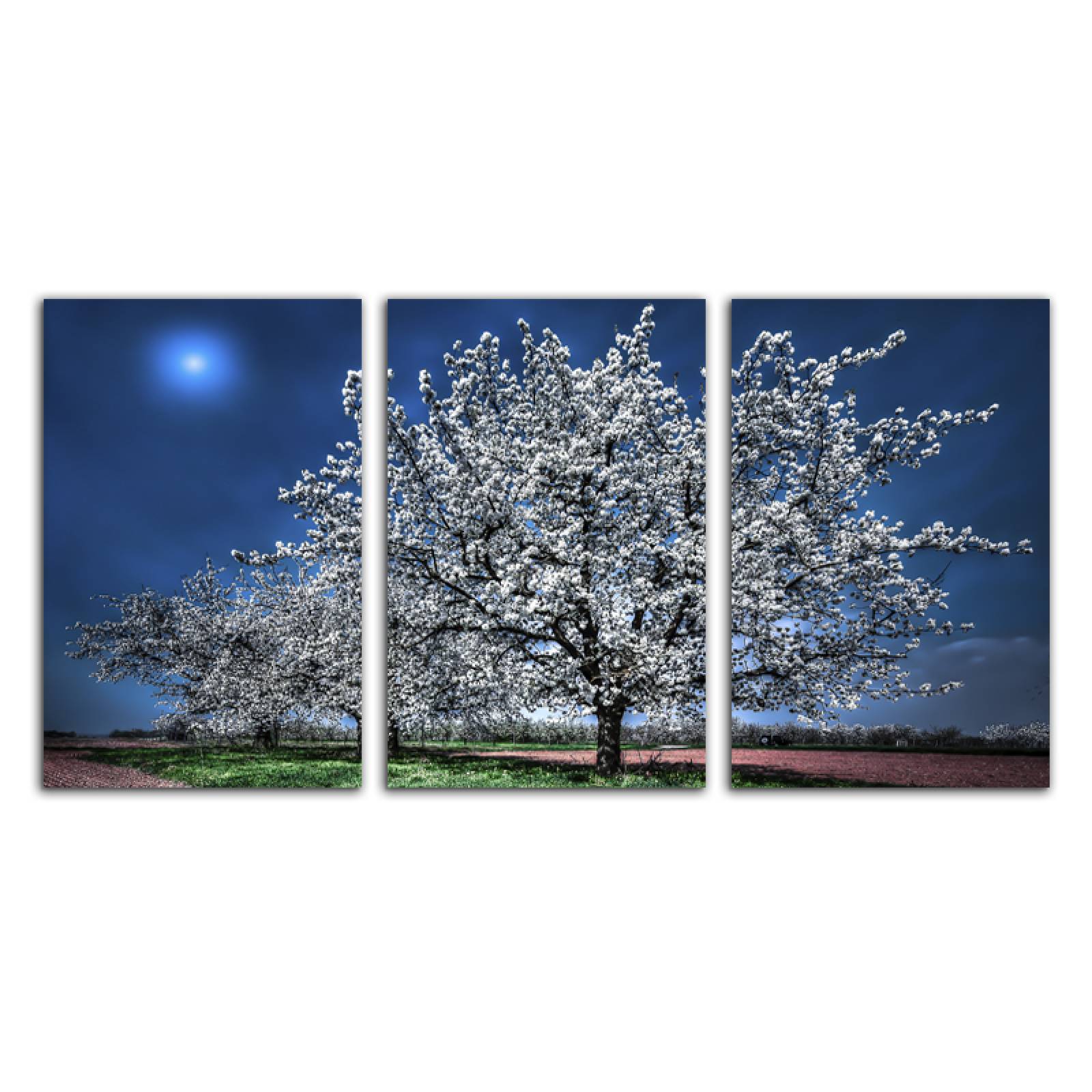 Cuadro decorativo Árbol de Cerezo Japones Paisaje moderno decoración 168x86cm 3 piezas