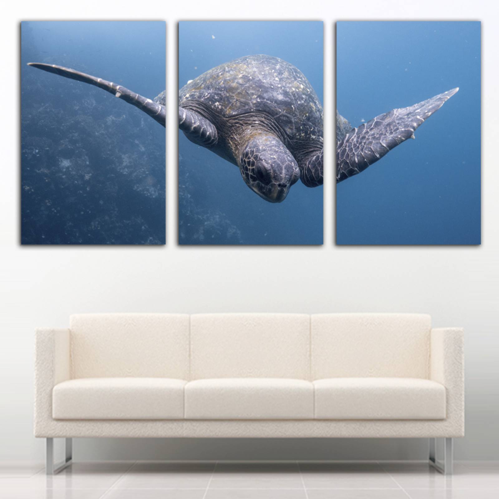 Cuadro decorativo Tortuga, Mar Azul Animales moderno decoración 168x86cm 3 piezas