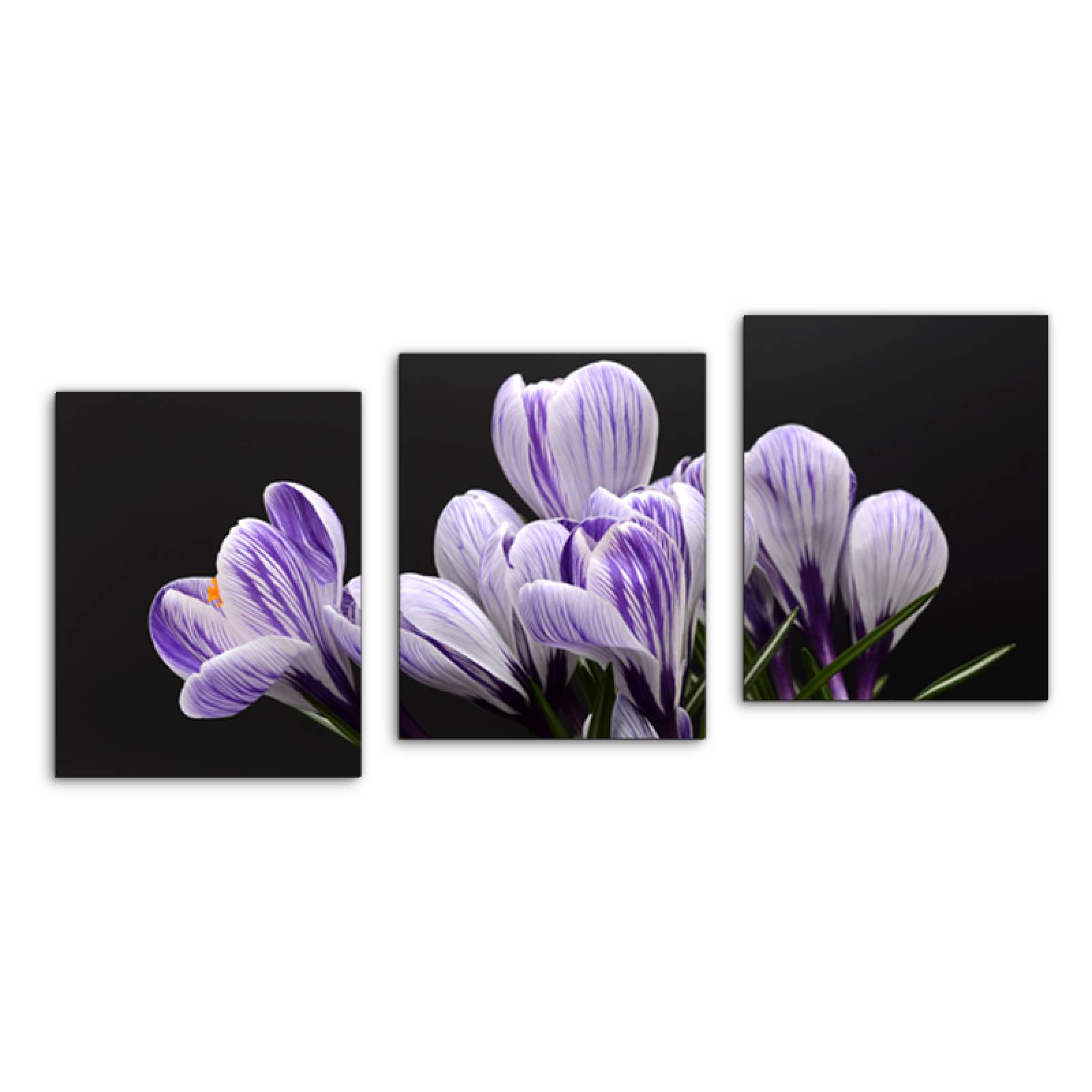 Cuadro decorativo Flor de Primavera Lila y Morado Moderno Decoración 120x60cm 3 piezas