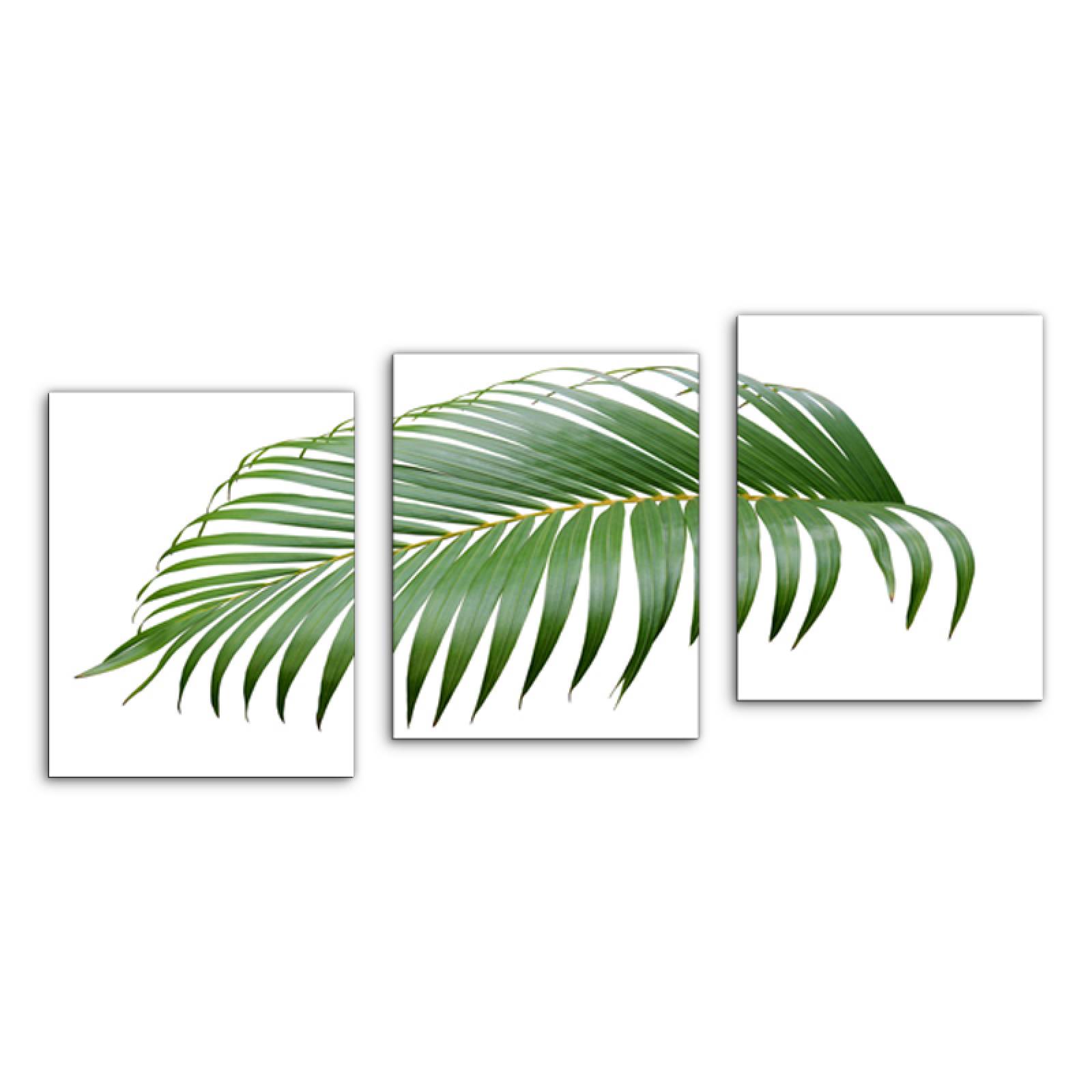 Cuadro decorativo Hoja de Palma Minimalista Moderno Decoración 120x60cm 3 piezas