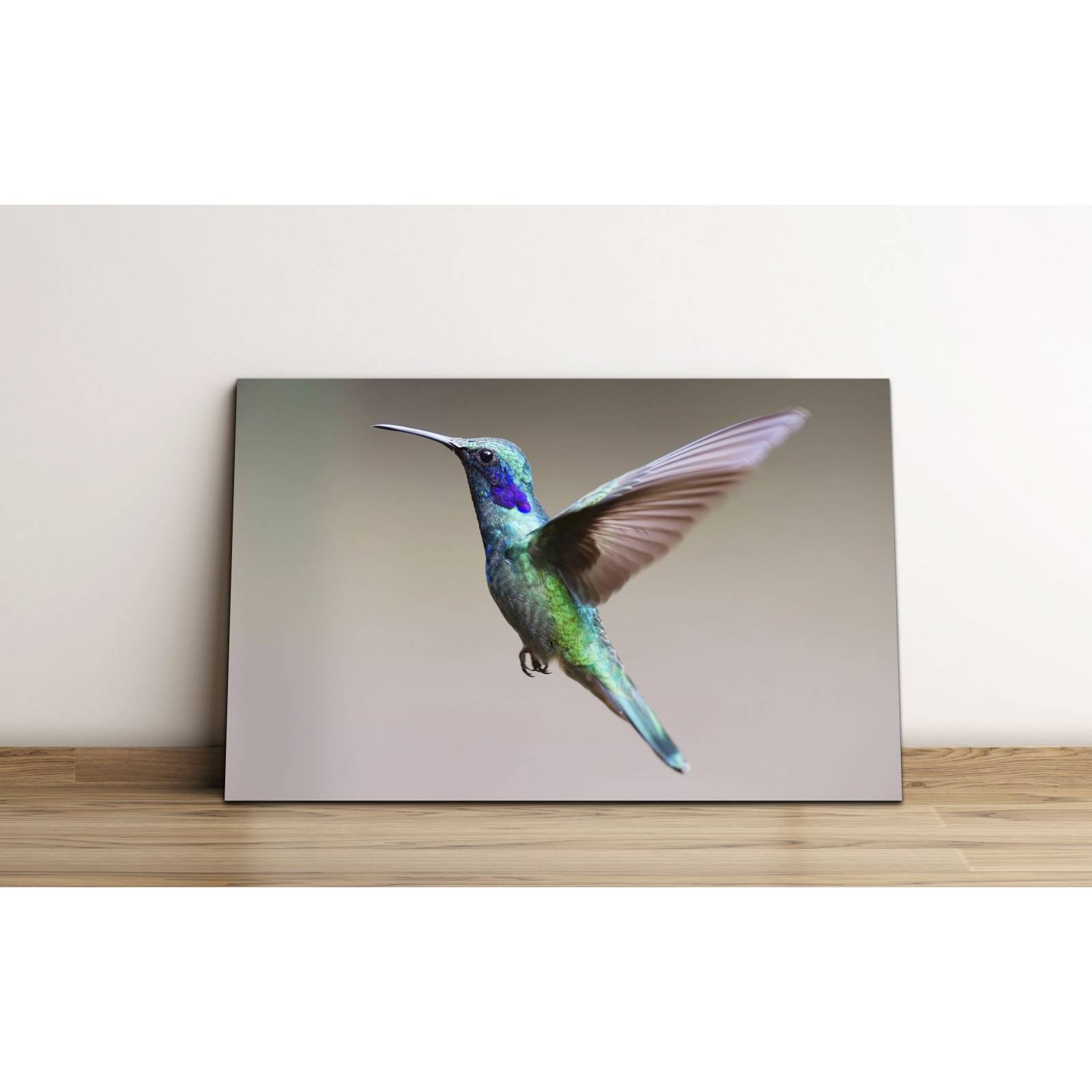 Cuadro de Pared Colibri Ave Moderno Decoracíon 86x56cm