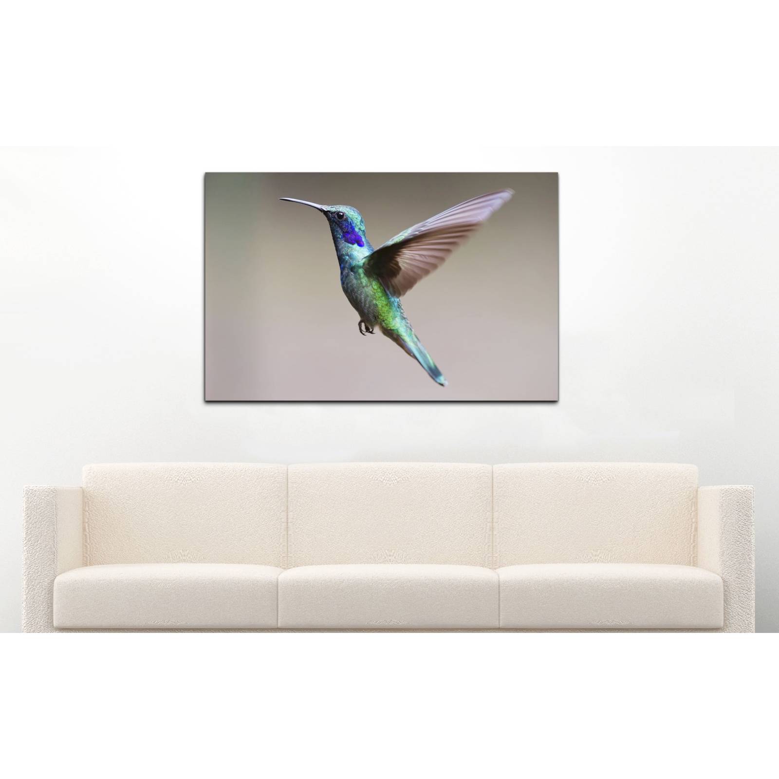 Cuadro de Pared Colibri Ave Moderno Decoracíon 86x56cm