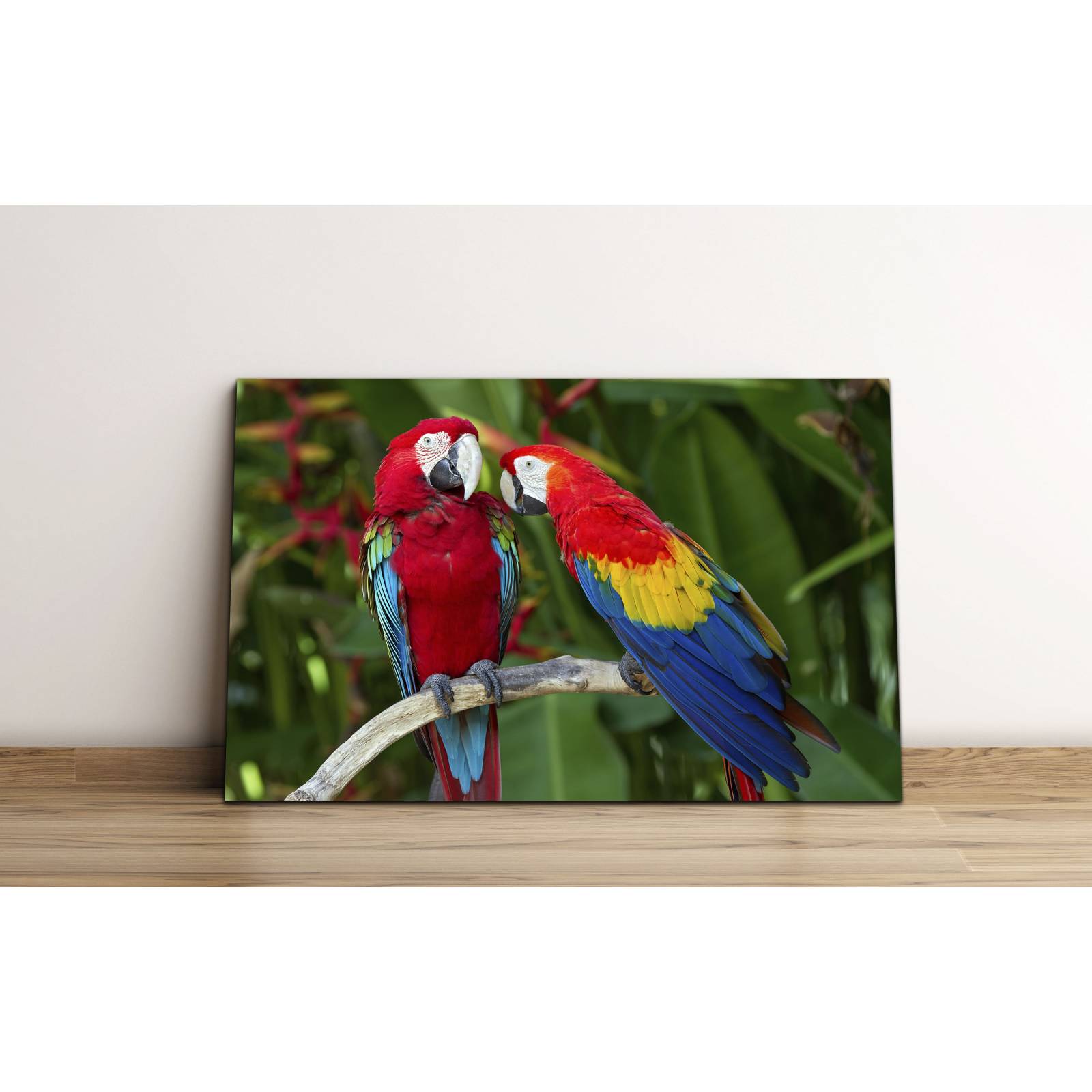 Cuadro de Pared Guacamayas Pareja Moderno Decoracíon 86x56cm