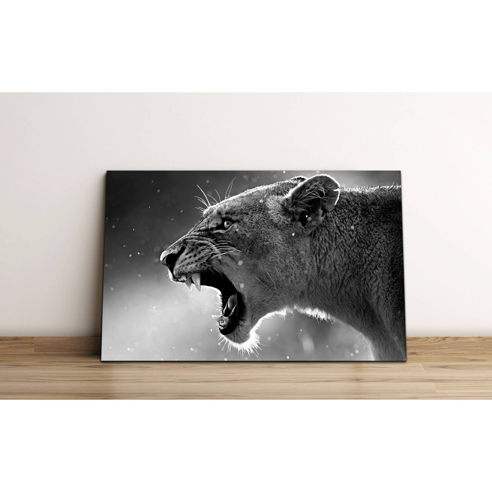 Cuadro de Pared Leona Rugiendo Moderno Decoracíon 86x56cm