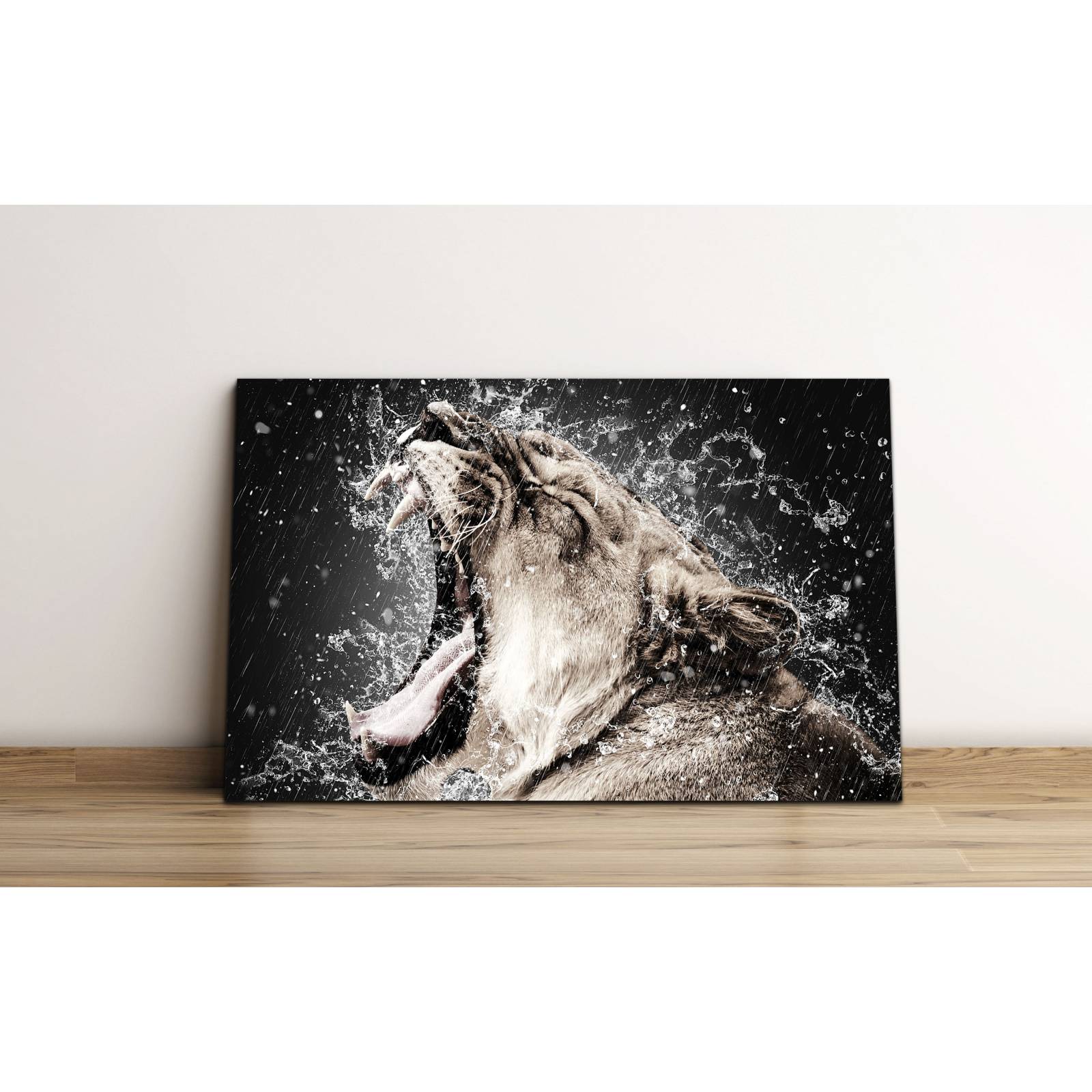 Cuadro de Pared leona Rugiendo Lluvia Moderno Decoracíon 86x56cm