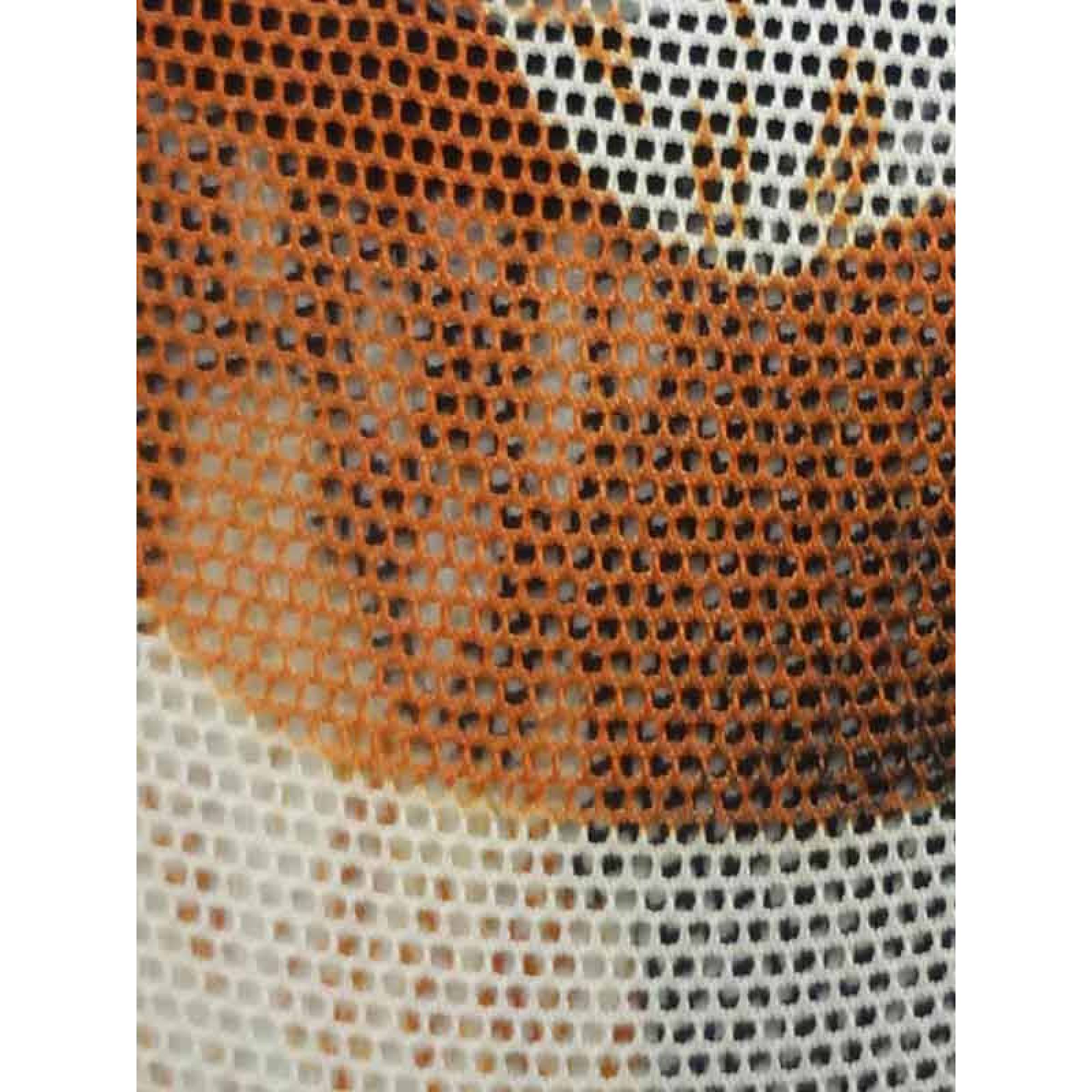 PAQUETE PROTECTO PIE DAMA LEE TOBITIN CASUAL 10 PARES 5ANIMAL/5LISOS UNITALLA(23cm-25cm)