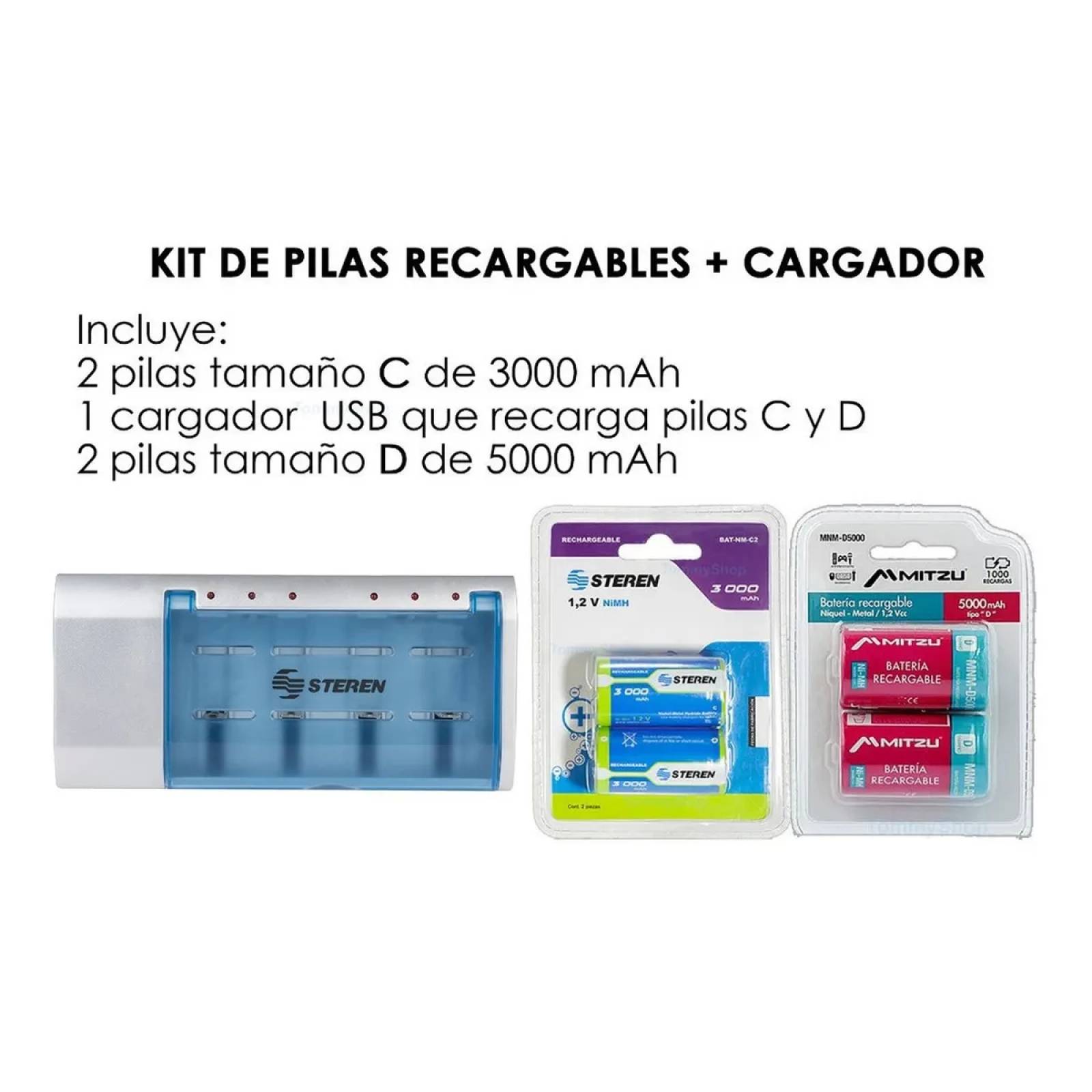 Cargador + 2 Pilas Recargables Tamaño D + 2 Tipo C Ni-mh