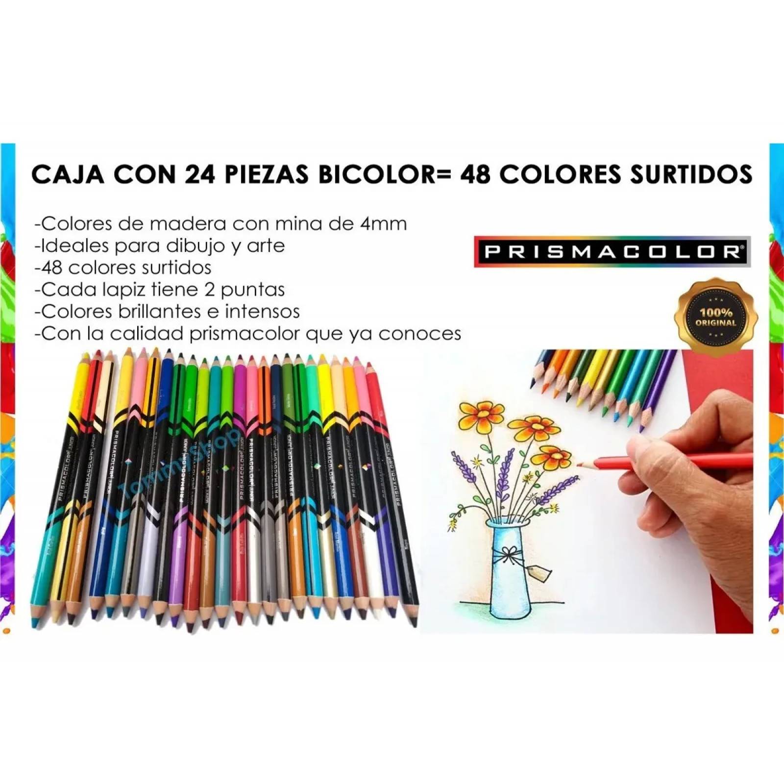 Libro Mandalas Animales Y Naturaleza + Colores Prismacolor