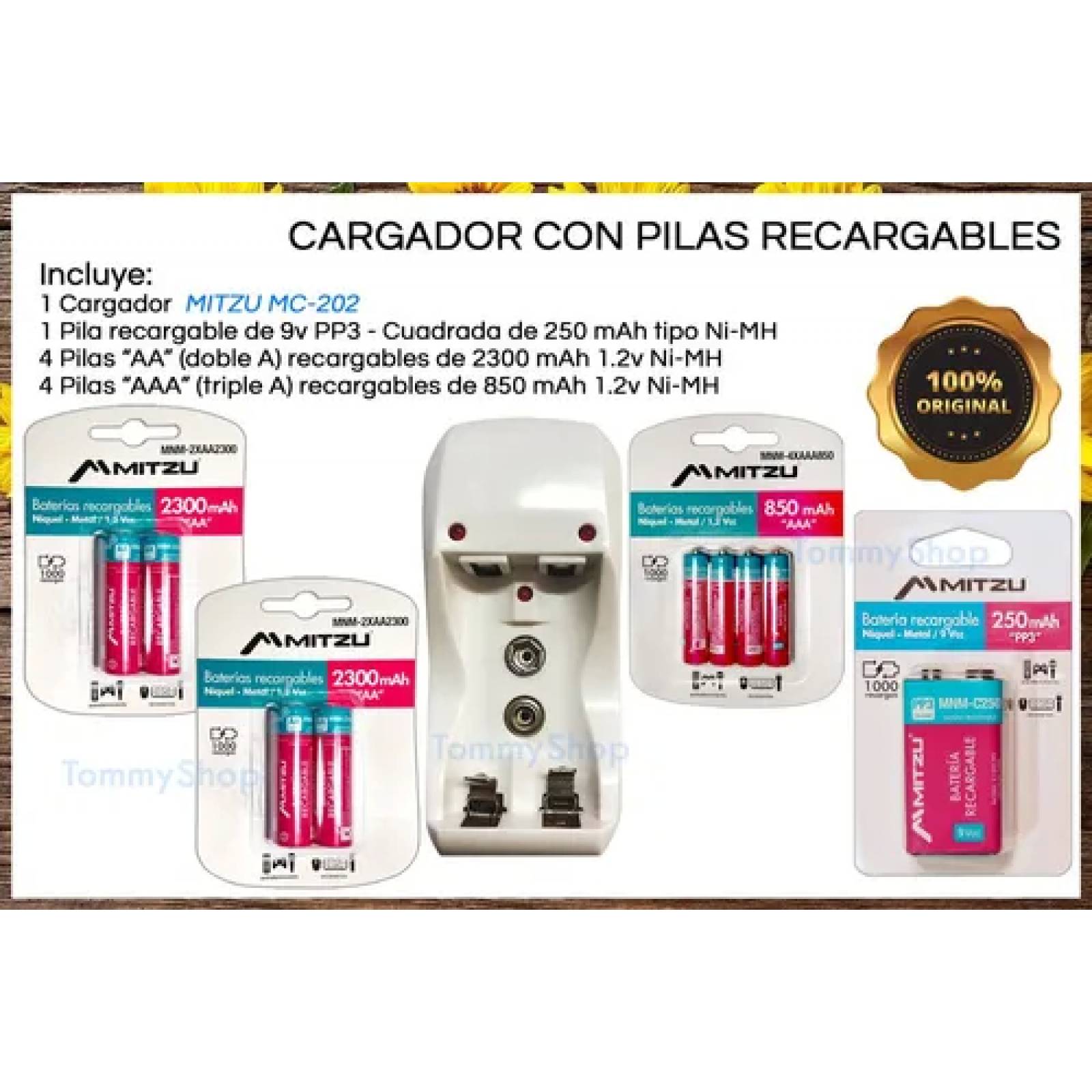 Cargador + 1 Pila 9v + 4 Doble Aa + 4 Triple A Recargables