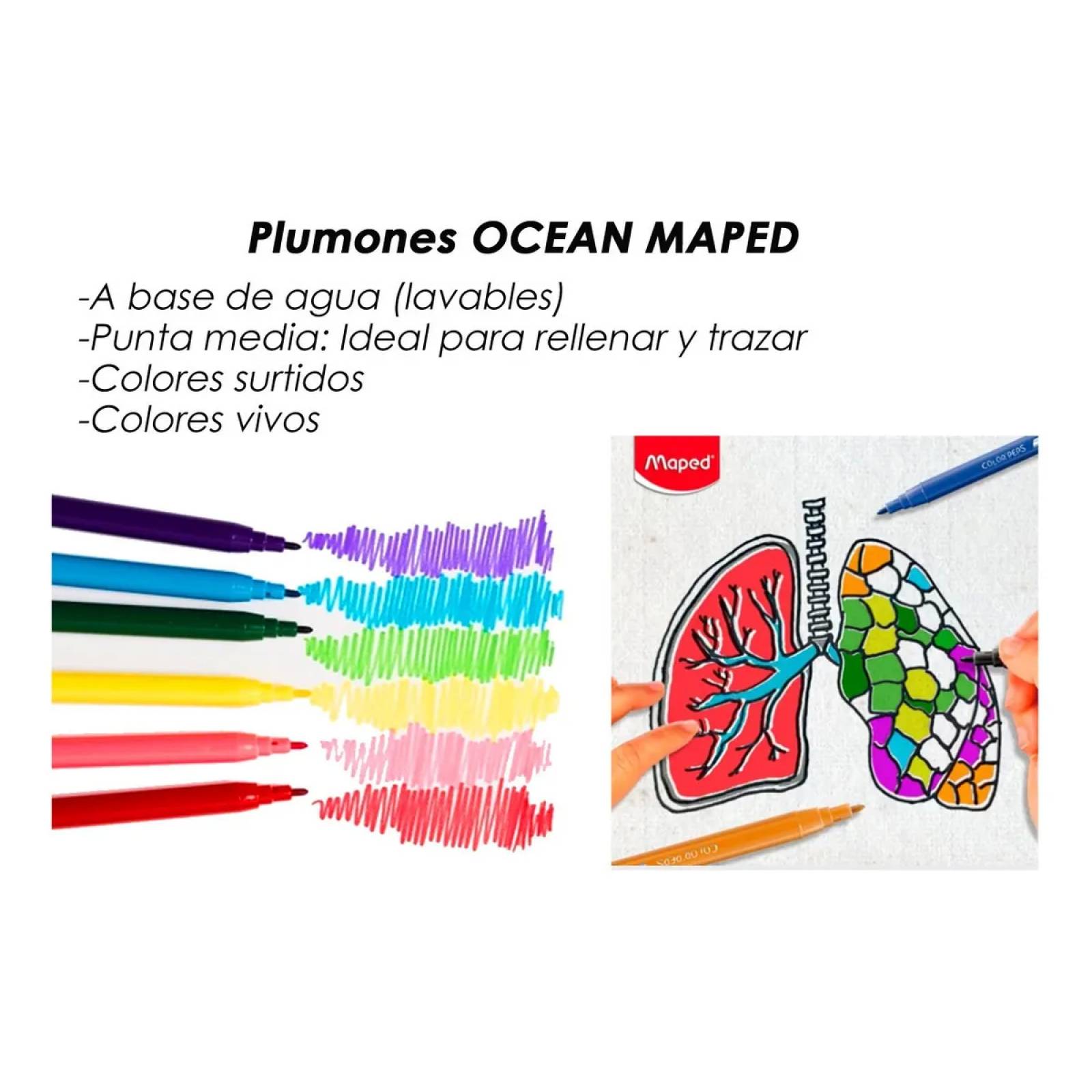  Set de Dibujo con 48 colores Prismacolor +24 Rotuladores +36 Plumones +Lapices Graduaciones