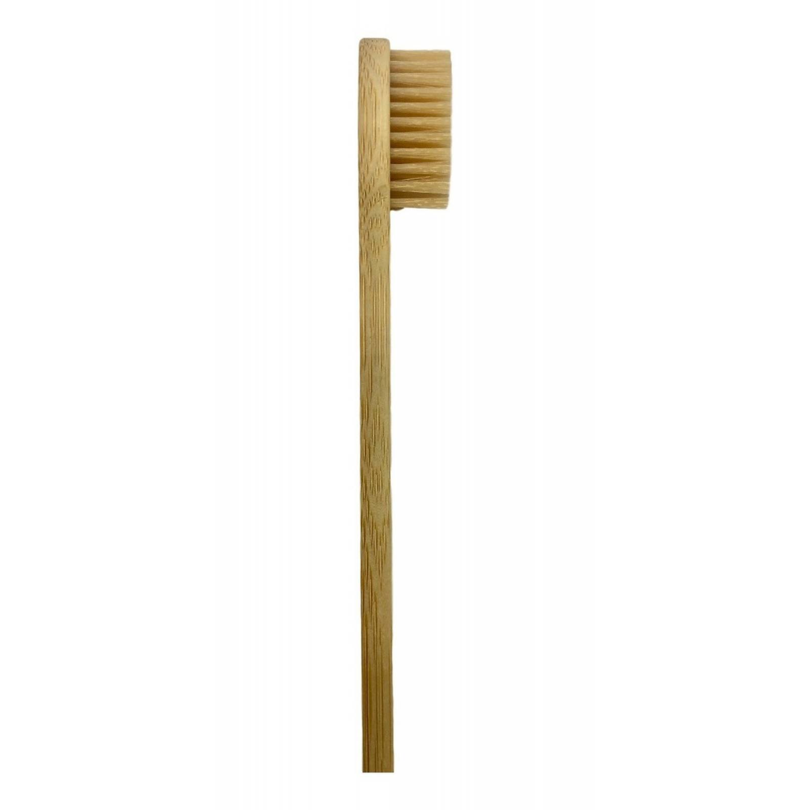 Cepillo De Dientes Bambu Biodegradable Ecologico Adulto 