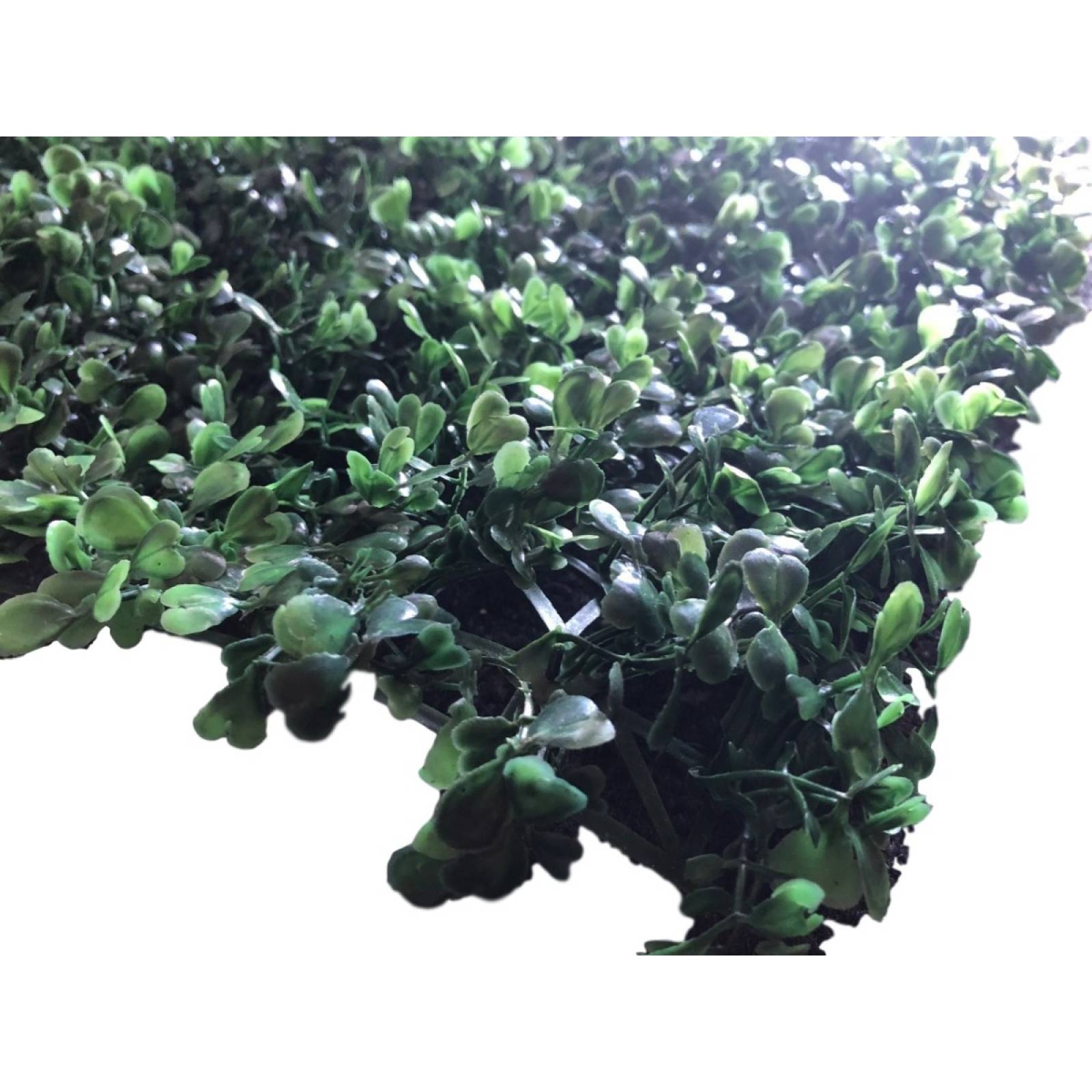 Follaje Artificial Sintetico Muro Verde 15pzas 60 X 40 Cm Arrayan Decoración De Bardas Y Paredes Cubre 36m2