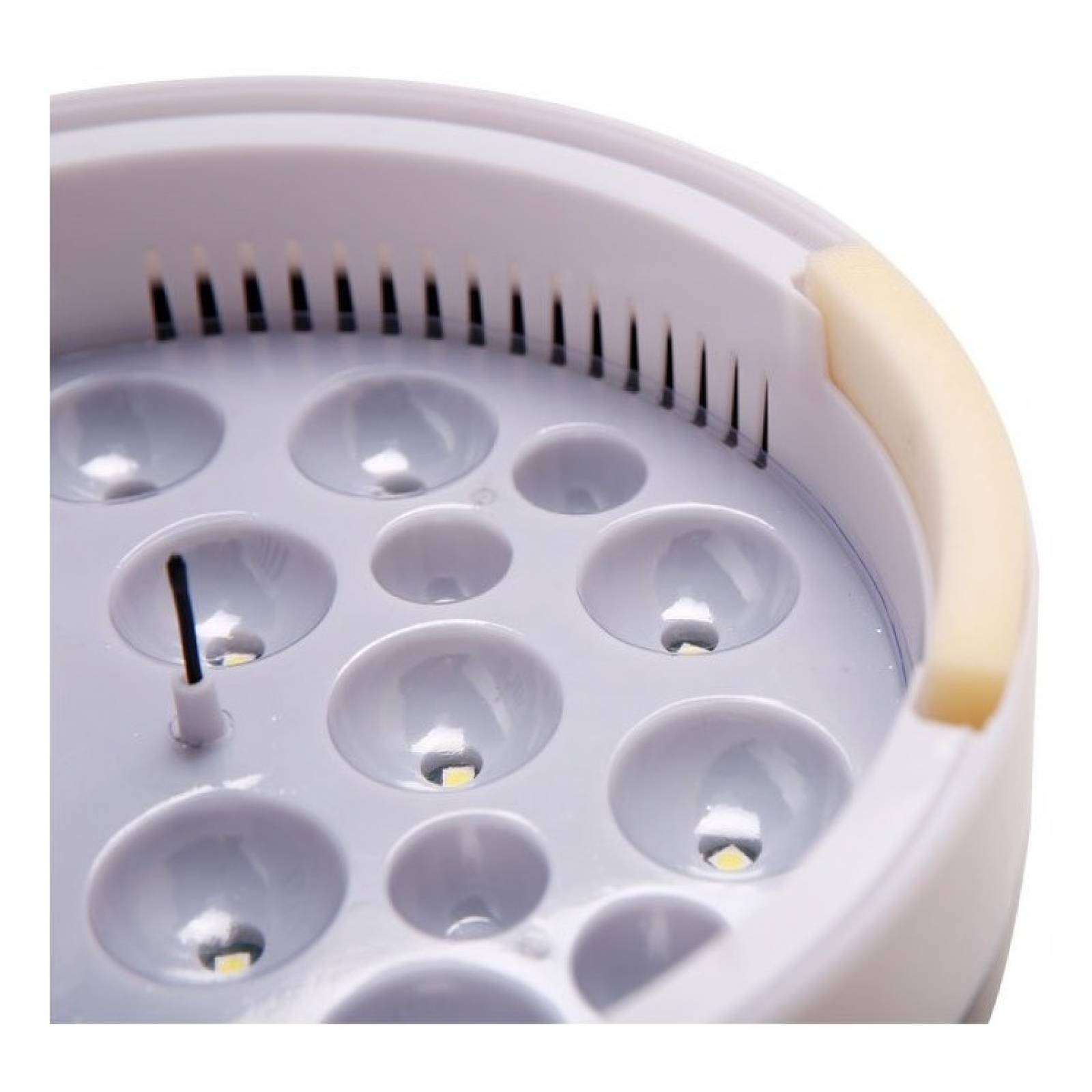 Incubadora 9 Huevos Iluminación Led Manual Español Ultimomod