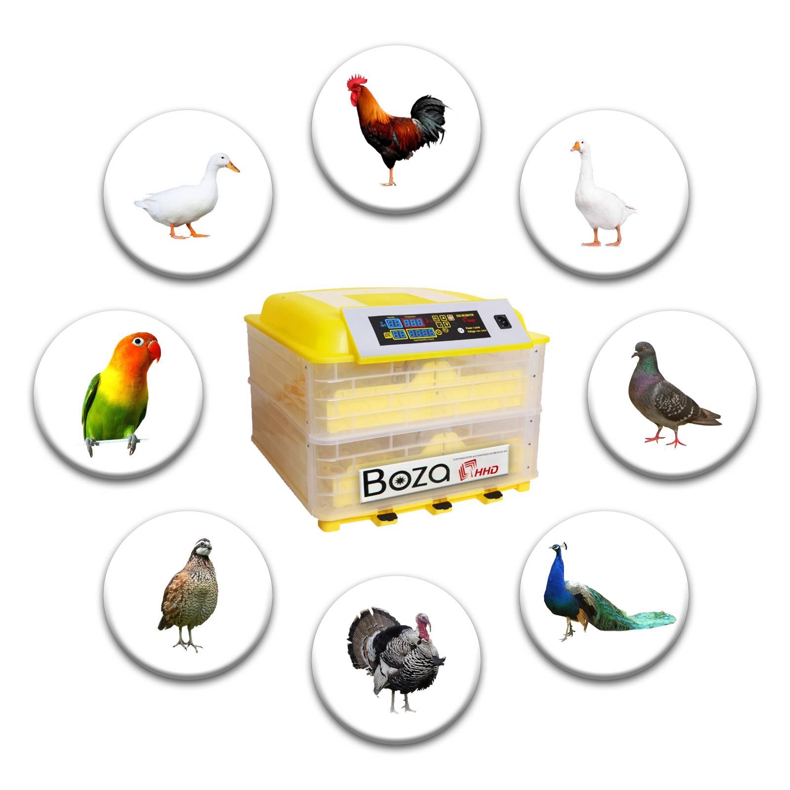 Incubadora 112 Huevos Ovoscopio Gratis Manual En Español Ultimo Modelo Distribuidor Autorizado Con Refacciones En Mexico