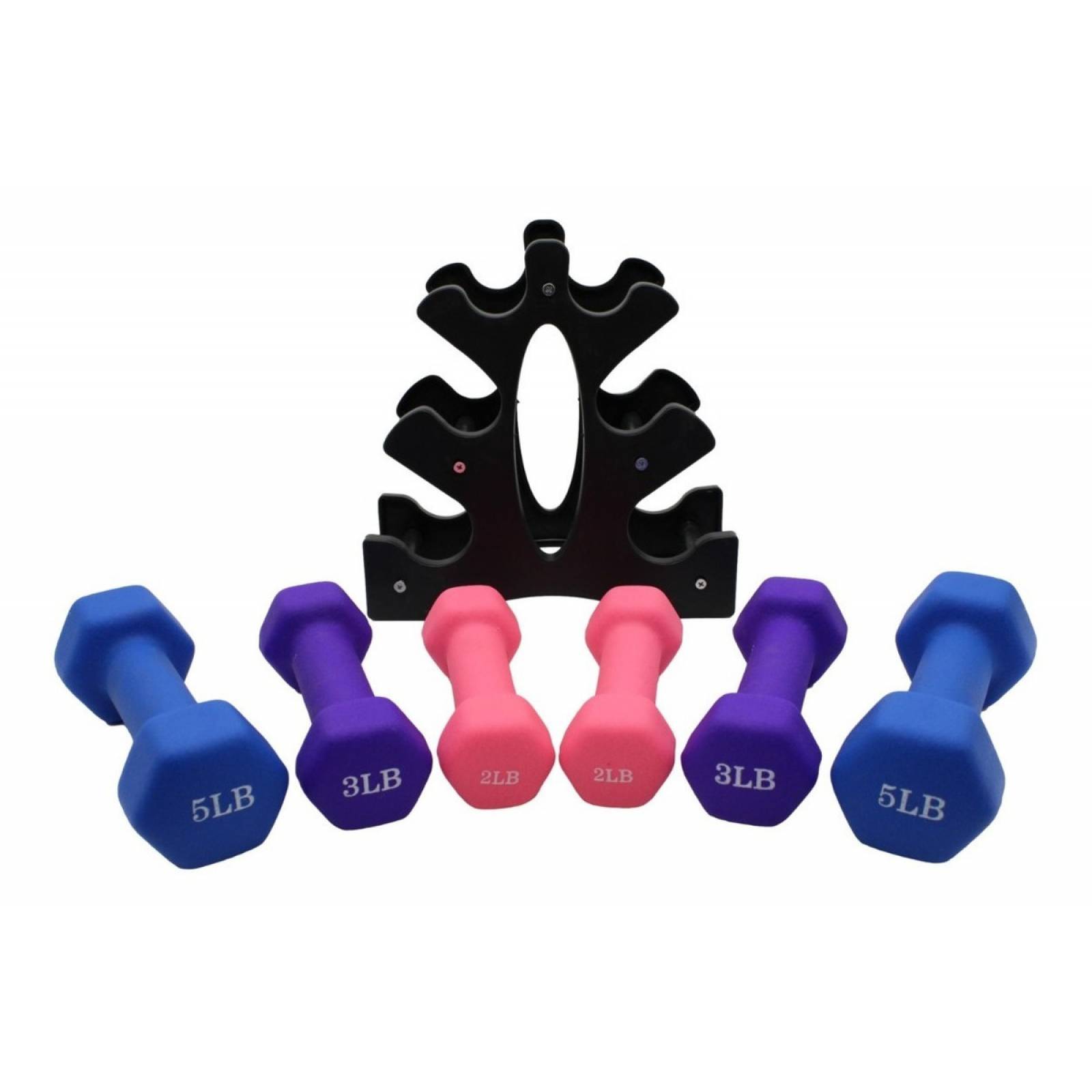 Set 6 Piezas Pesas Mancuernas Neopreno Con Soporte Fitness 
