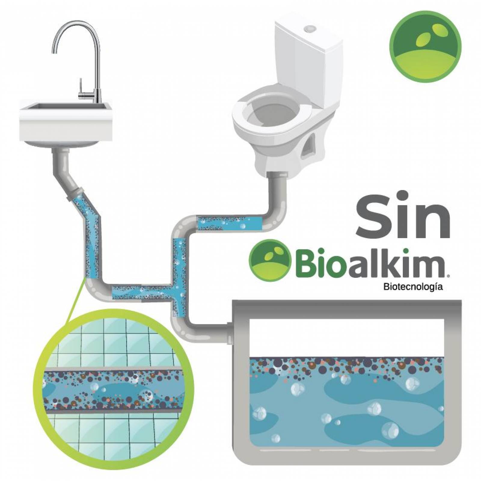 1Lt - Bacterias Elima Mal Olor Y Desincrustante Baños, Caños, Drenaje, Registros 