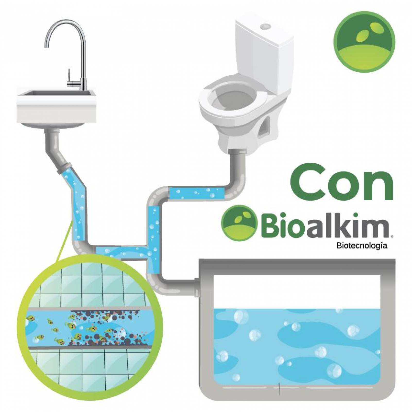 10Lt - Bacterias Y Enzimas Tratamiento Fosas Septicas Biodigestores 