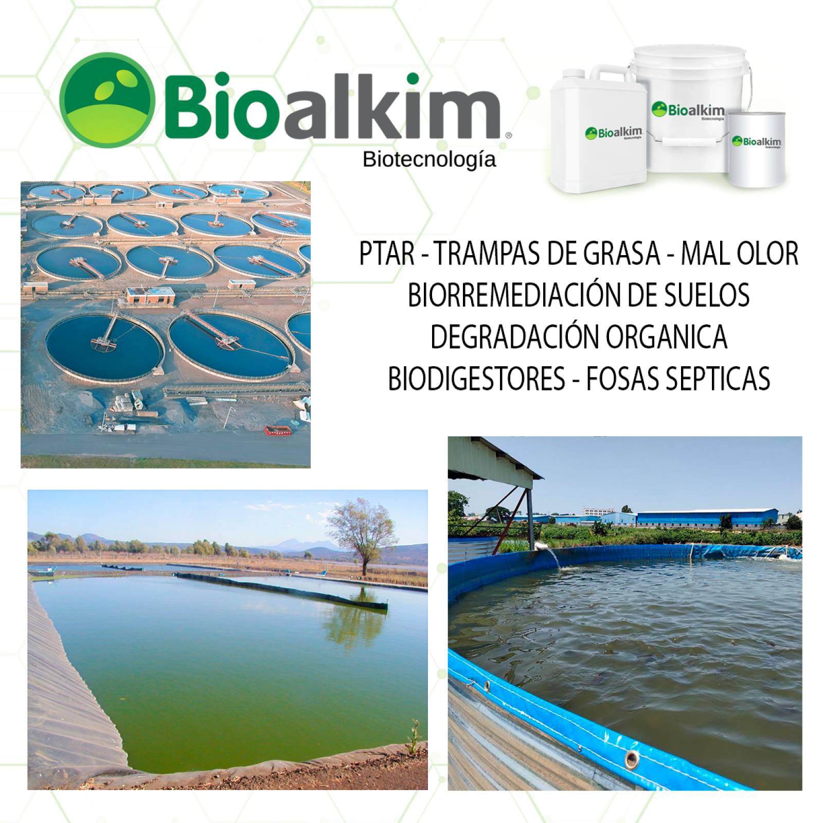 19Lt - Bacterias Tratamiento Aguas Residuales, Ptar, Lagunas Oxidacion 