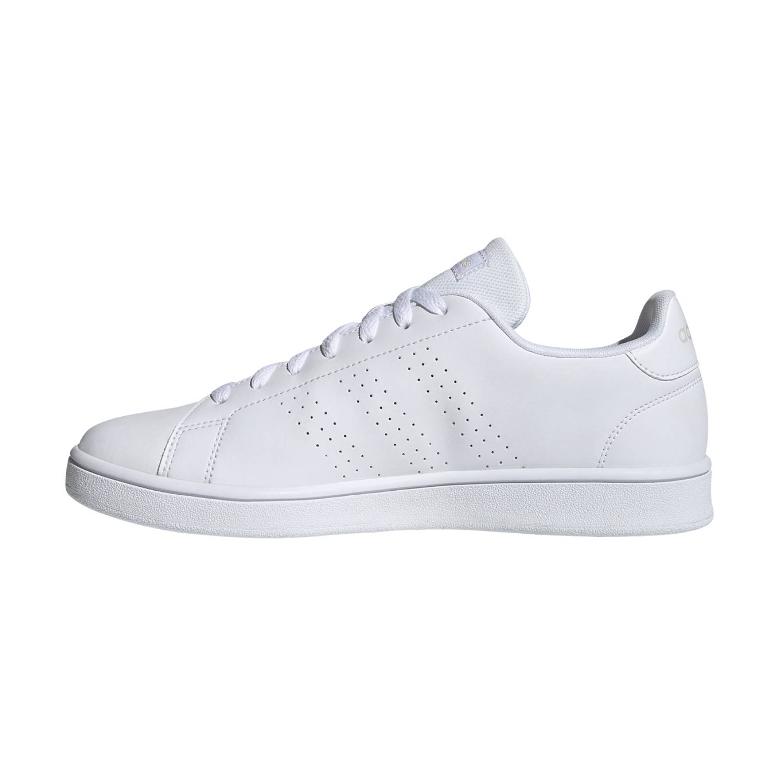 Tenis Hombre Adidas Blanco Advantage Base EE7692