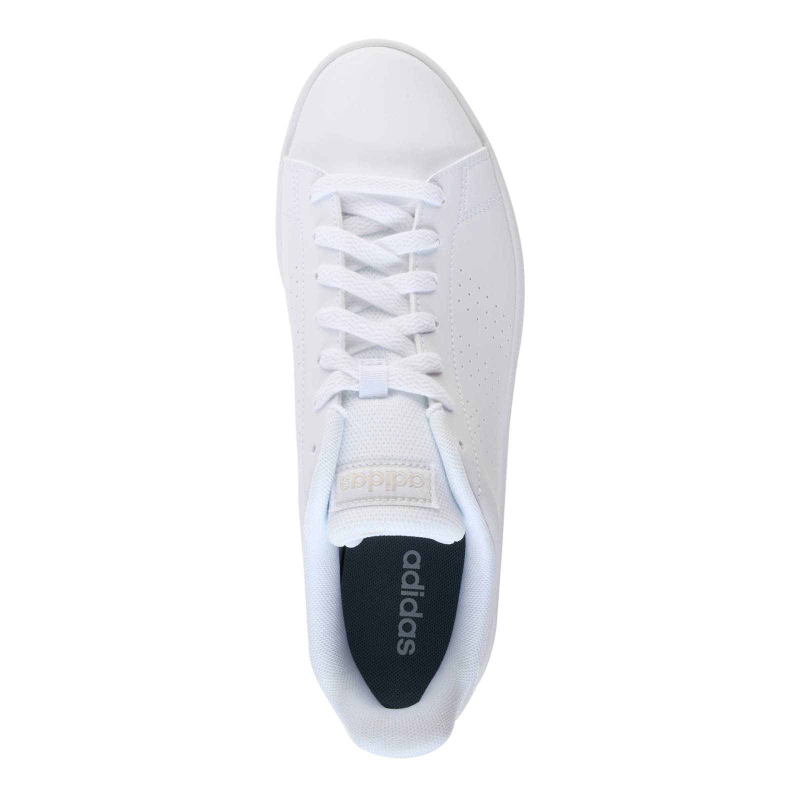 Tenis Adidas Hombre Advantage Base Blanco EE7692