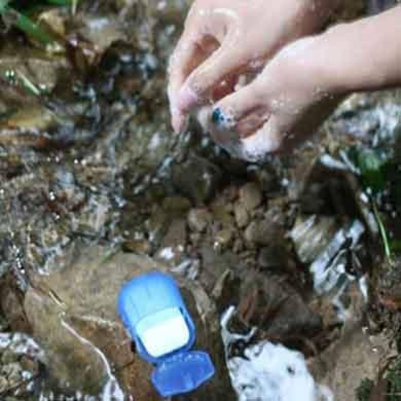 JABÓN DE BOLSILLO, VIAJE, CAMPISMO